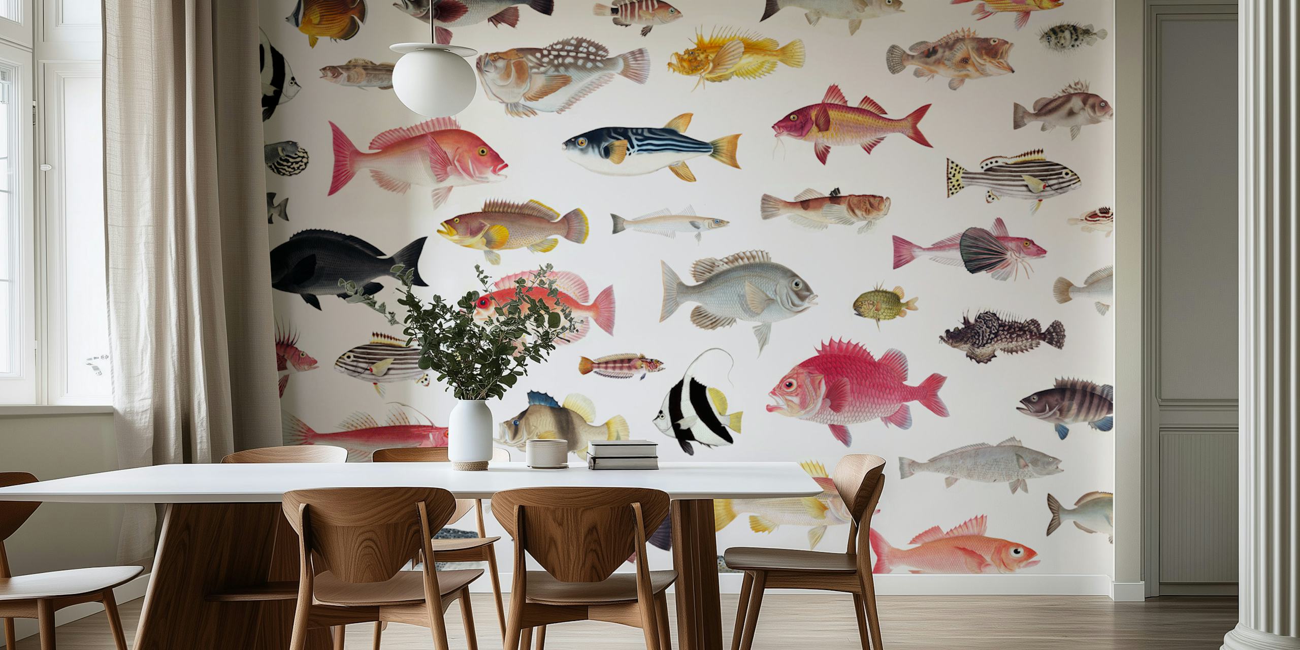 Various colorful fish illustrations on a white background wallpaper