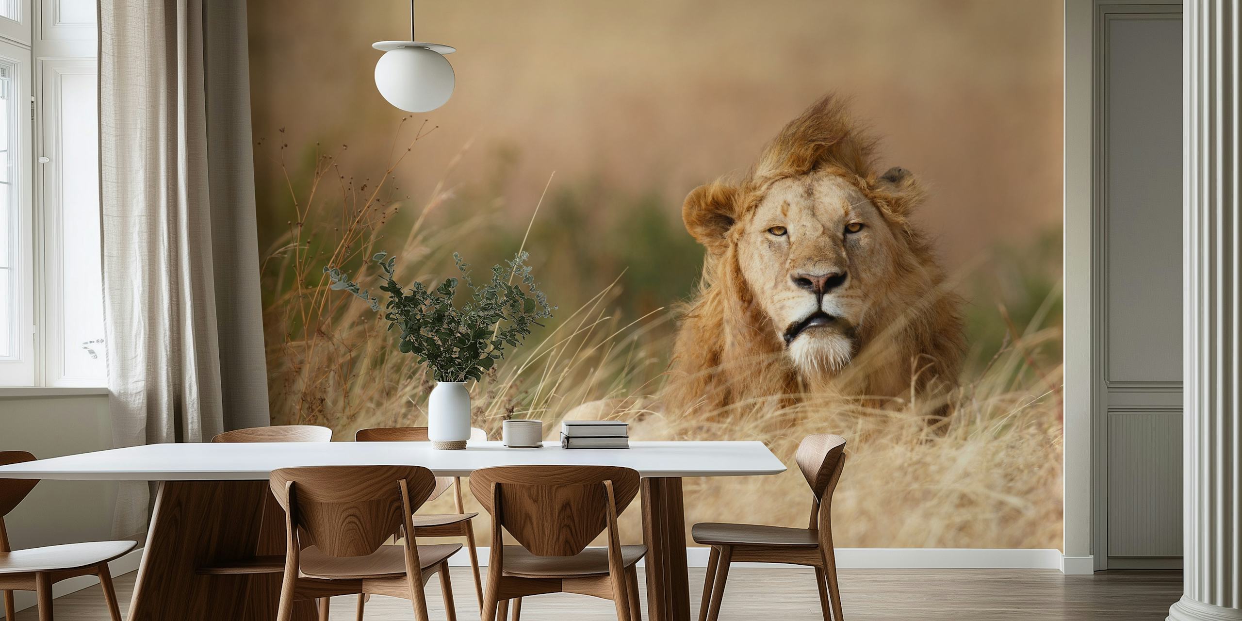 Handsome lion papel de parede em um ambiente decorativo
