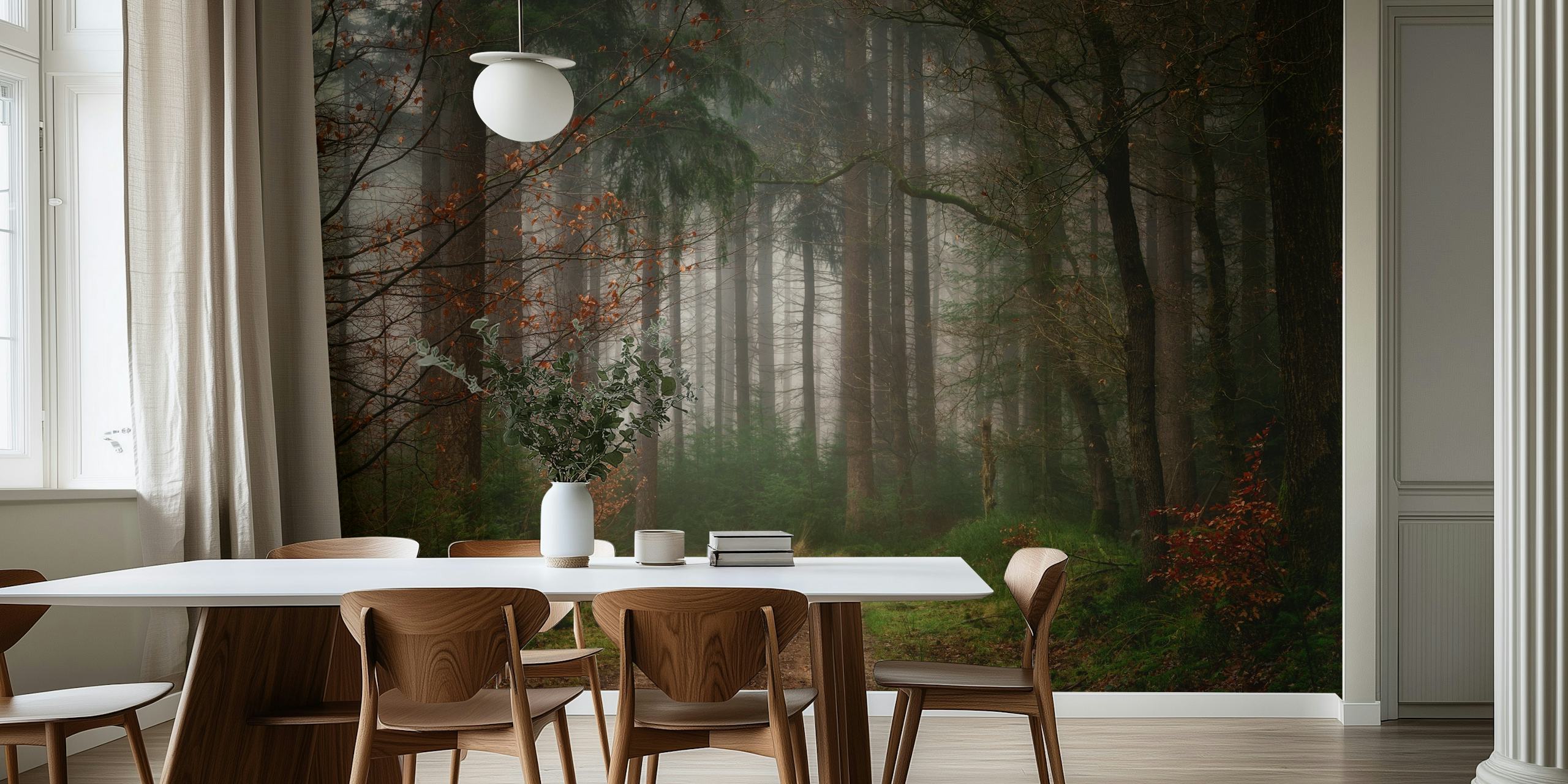 Misty forest path wall mural in a serene setting