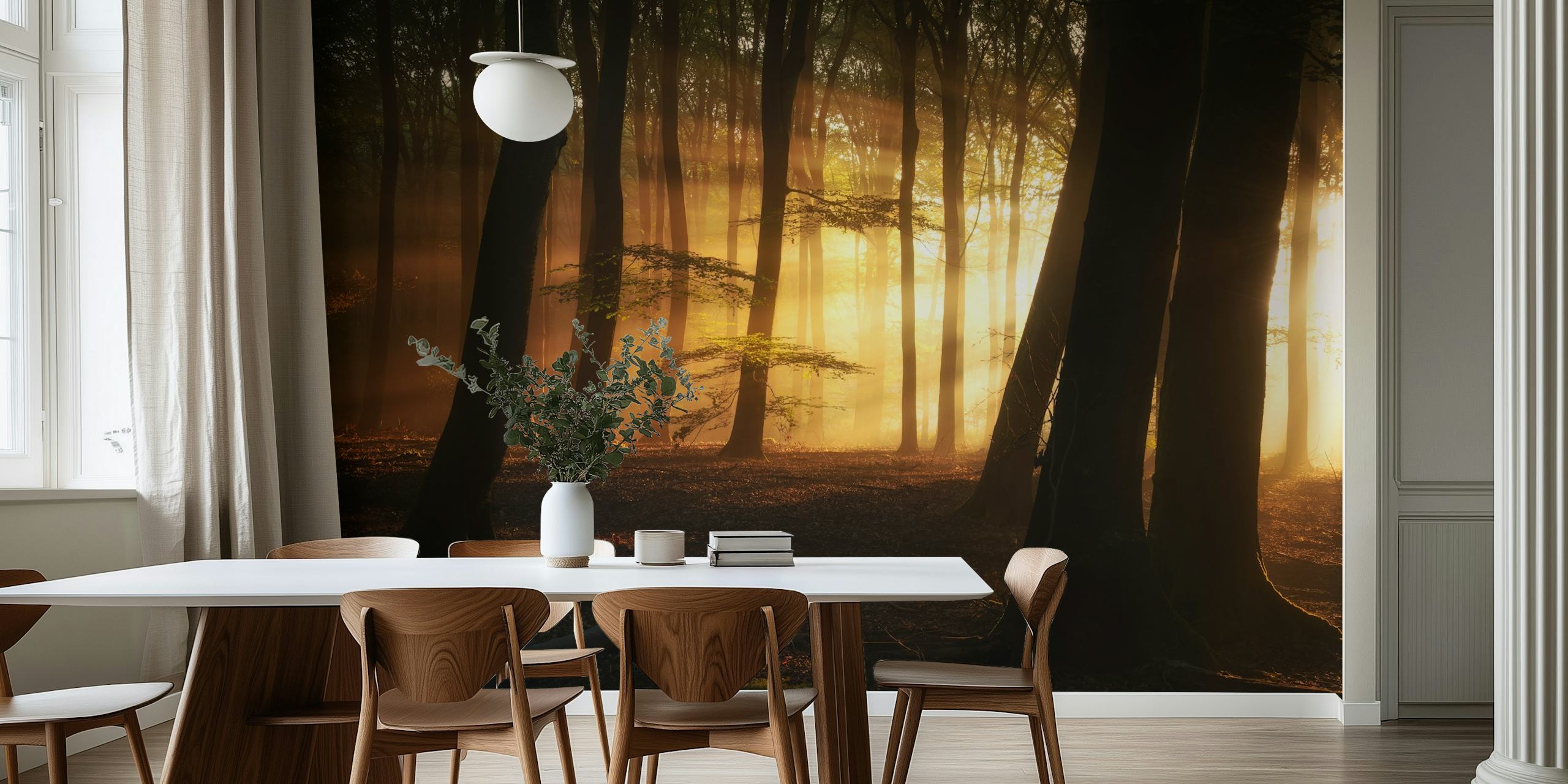Golden forest scene with sunlight through trees wallpaper