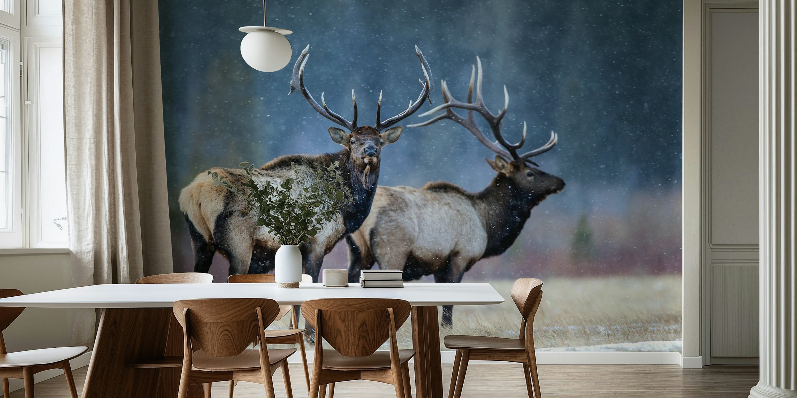 First snow wallpaper in a cozy room