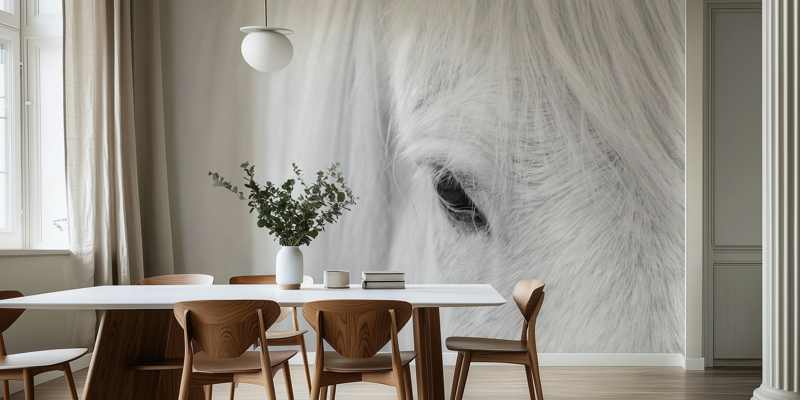 Sort og hvidt nærbillede af en islandsk hests ansigt til et fredeligt vægmaleri