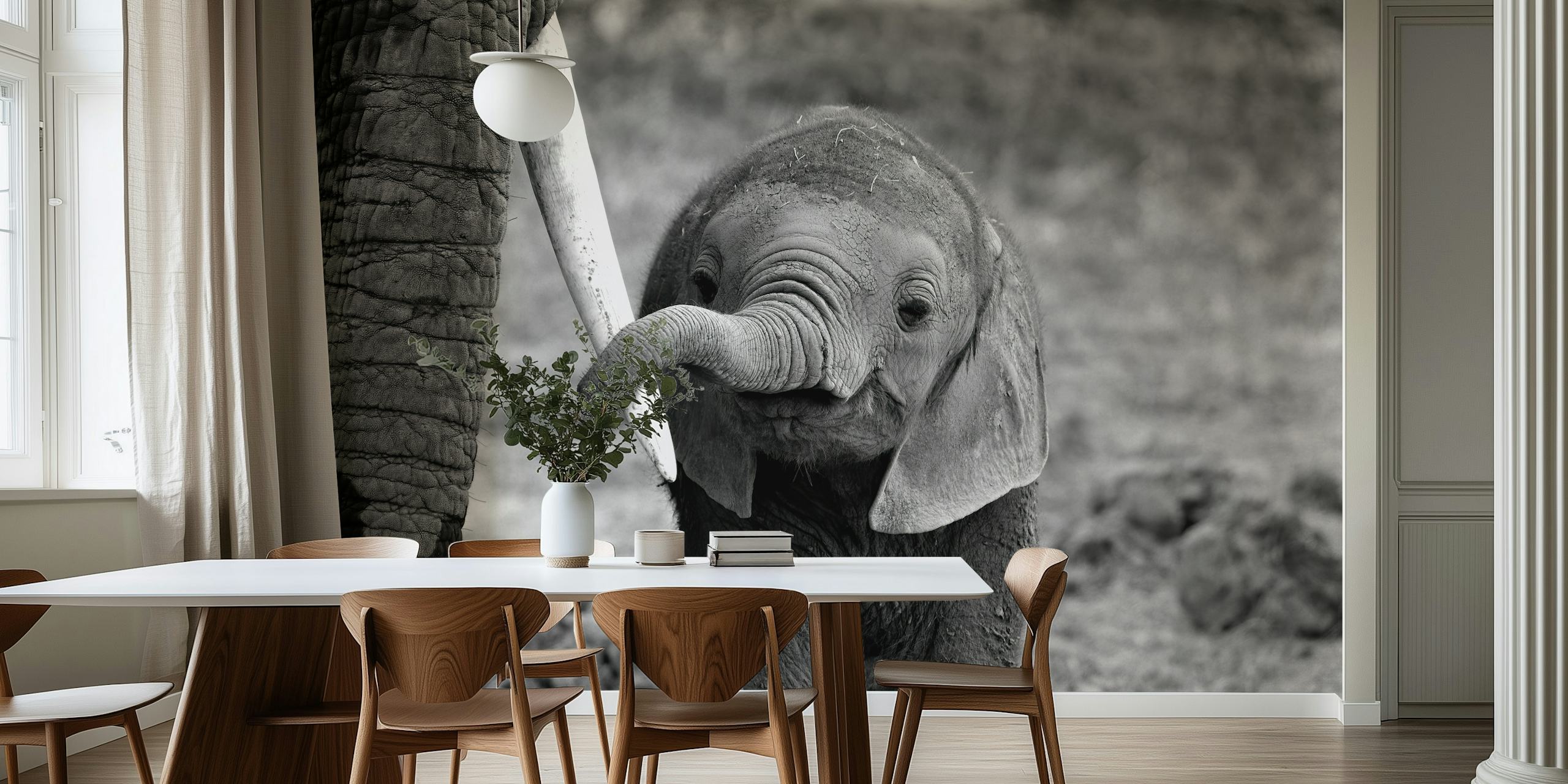 Tapetti, jossa on vauhetiheys huoneessa