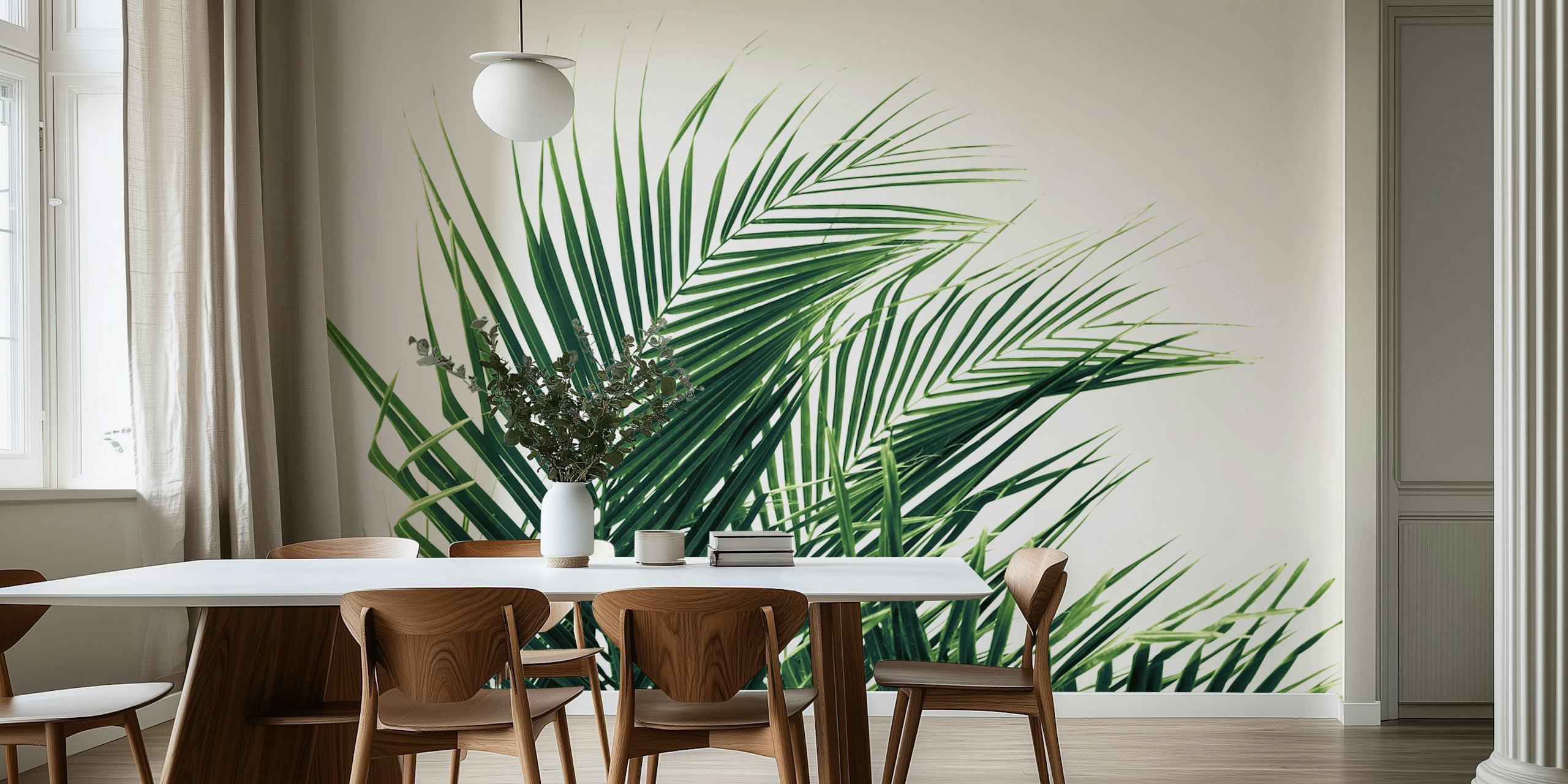 Tropical green palm leaves on a white background wallpaper