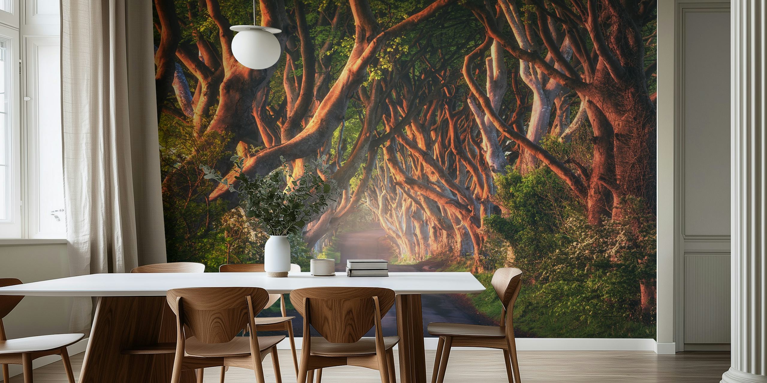 Mystical tree archway on a serene Irish lane wallpaper