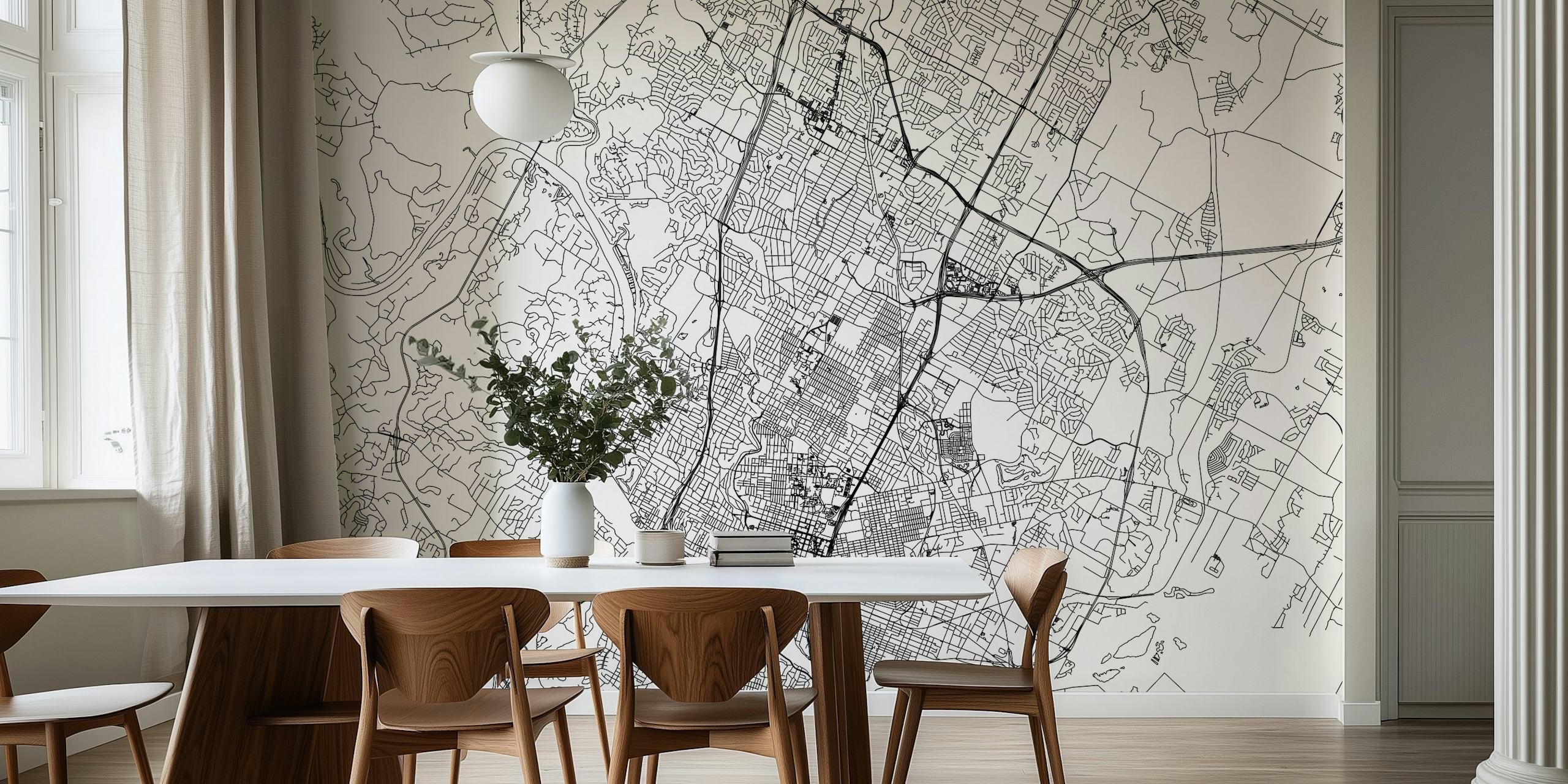 Black and white Austin map wallpaper with detailed streets and parks