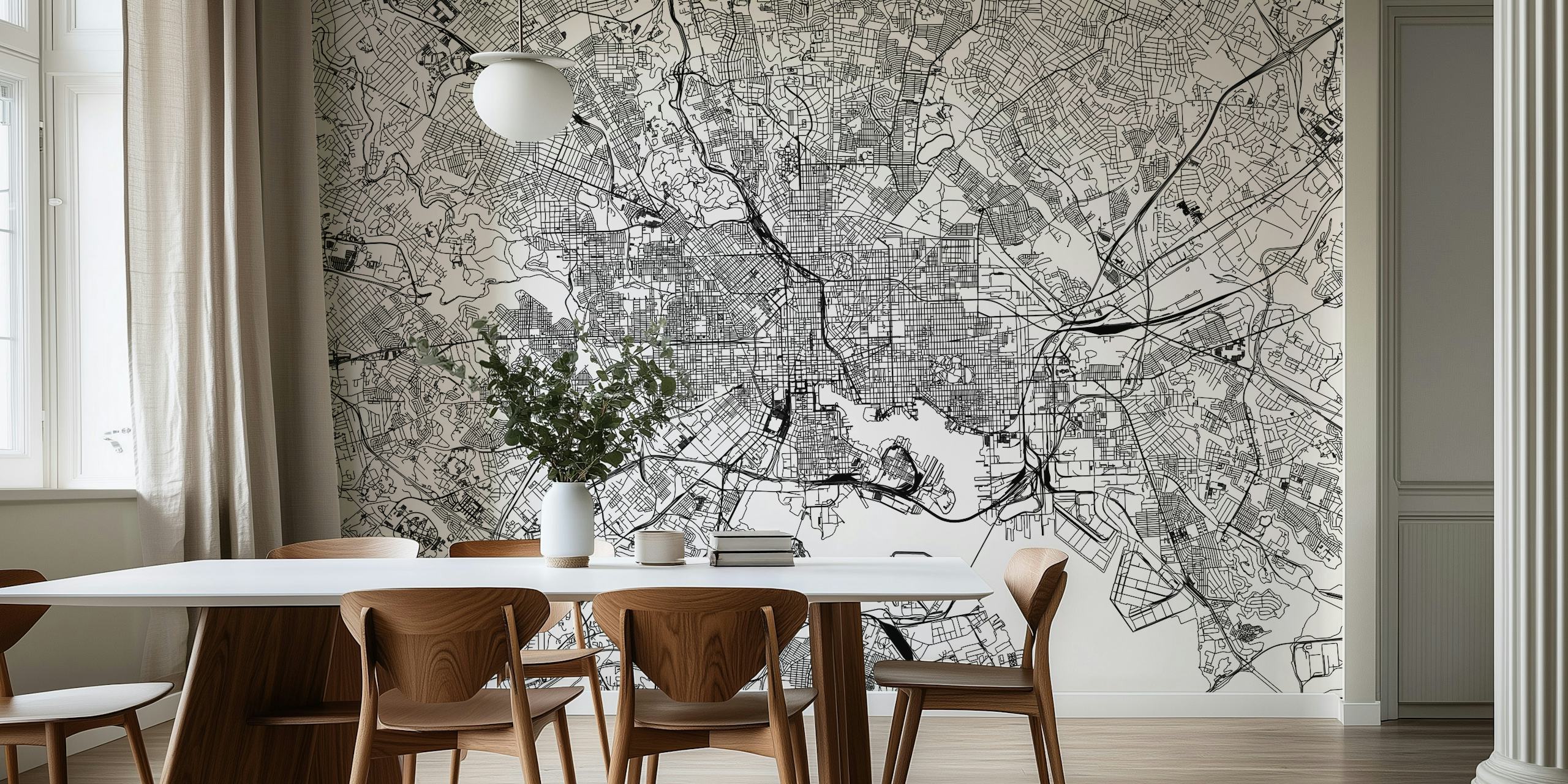 Vintage Baltimore Map Seinämuraali