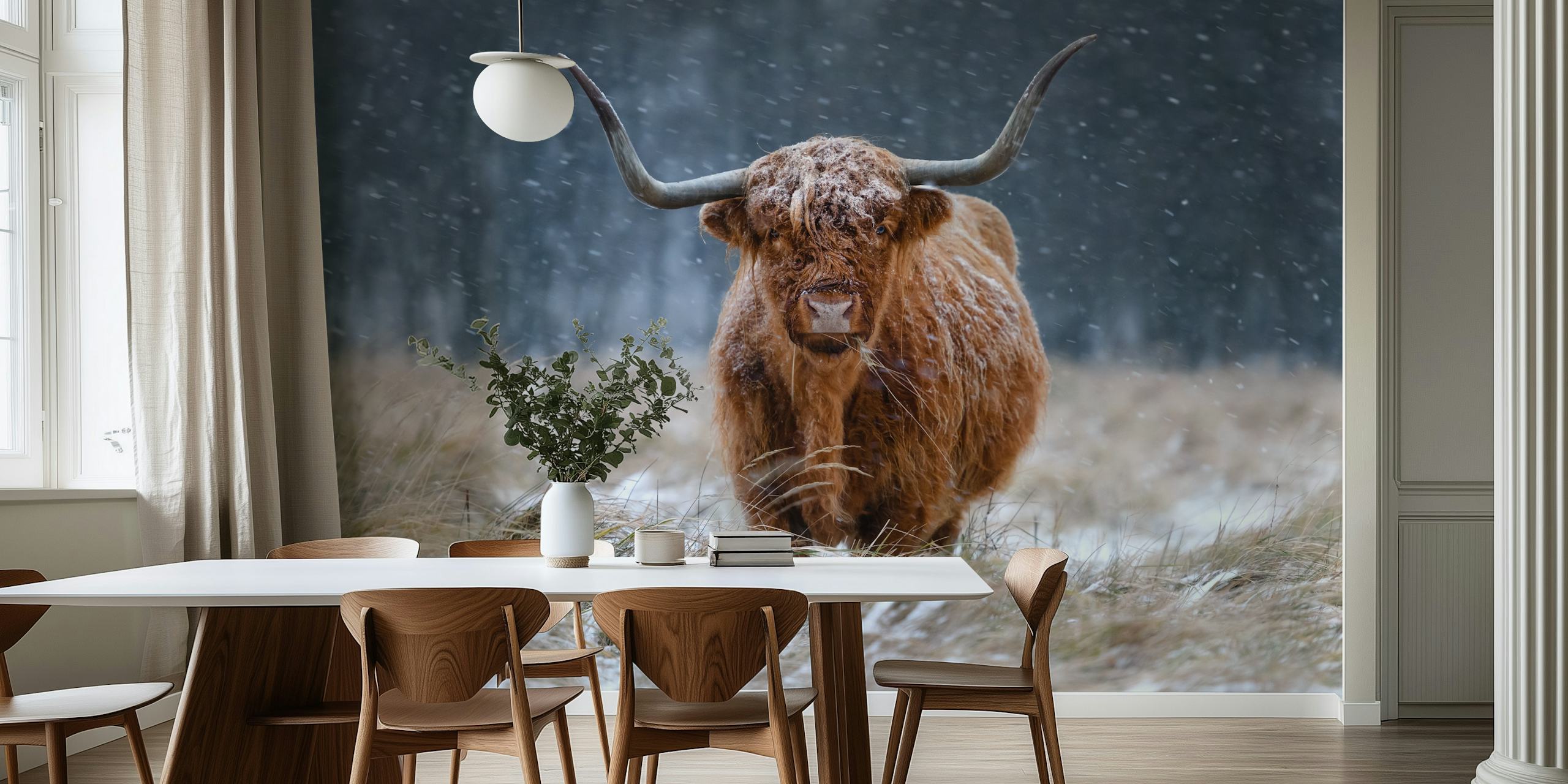 Tapeta Snowy Highland cow w przytulnym otoczeniu