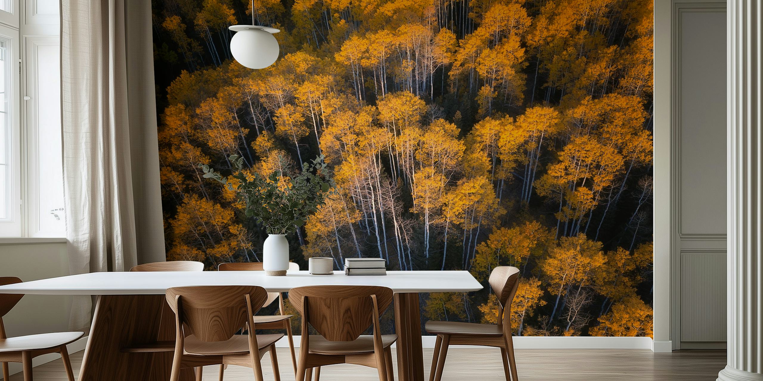 Golden aspen trees in autumn with dark trunks wallpaper