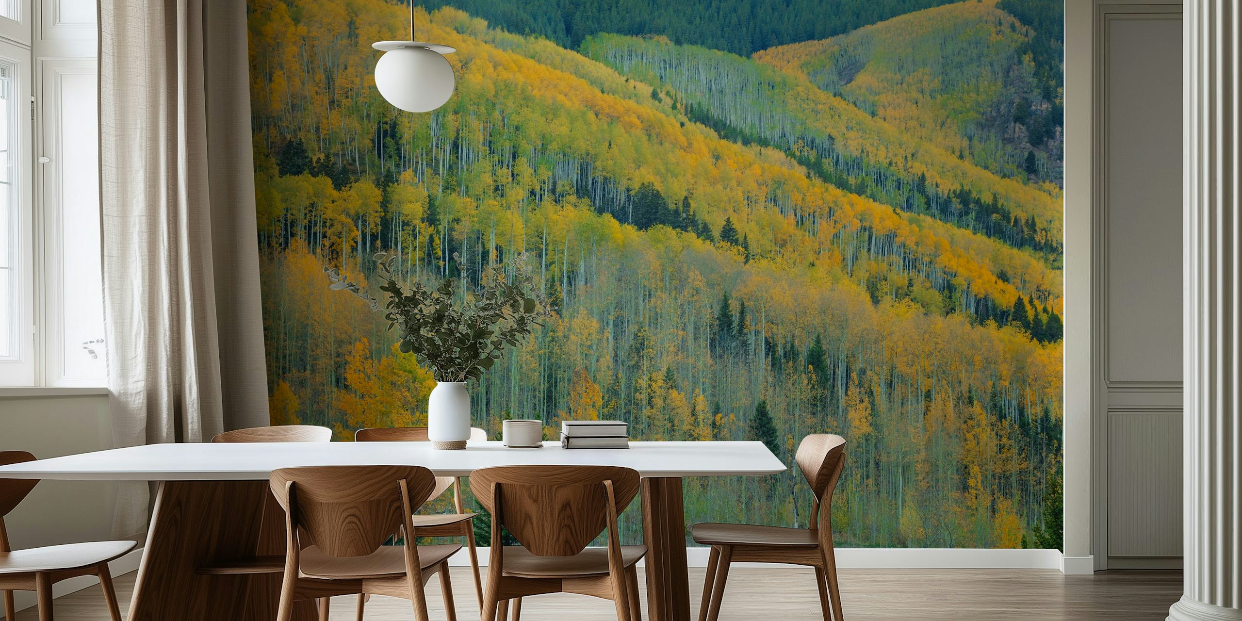 Aspen trees in autumn with yellow and orange leaves wall mural