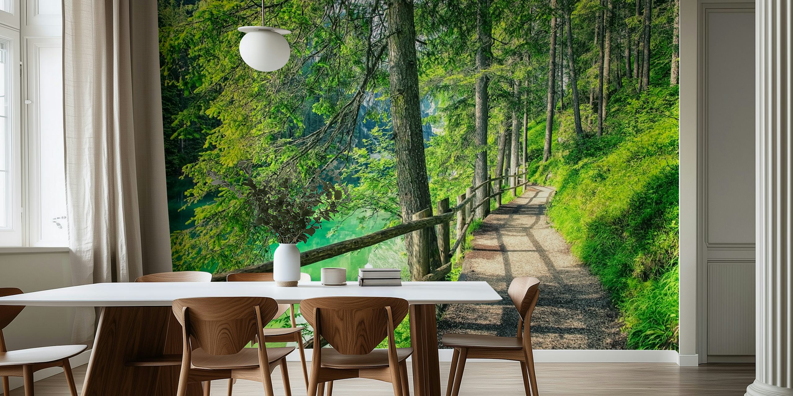 Scenic forest path with green trees and tranquil water wallpaper