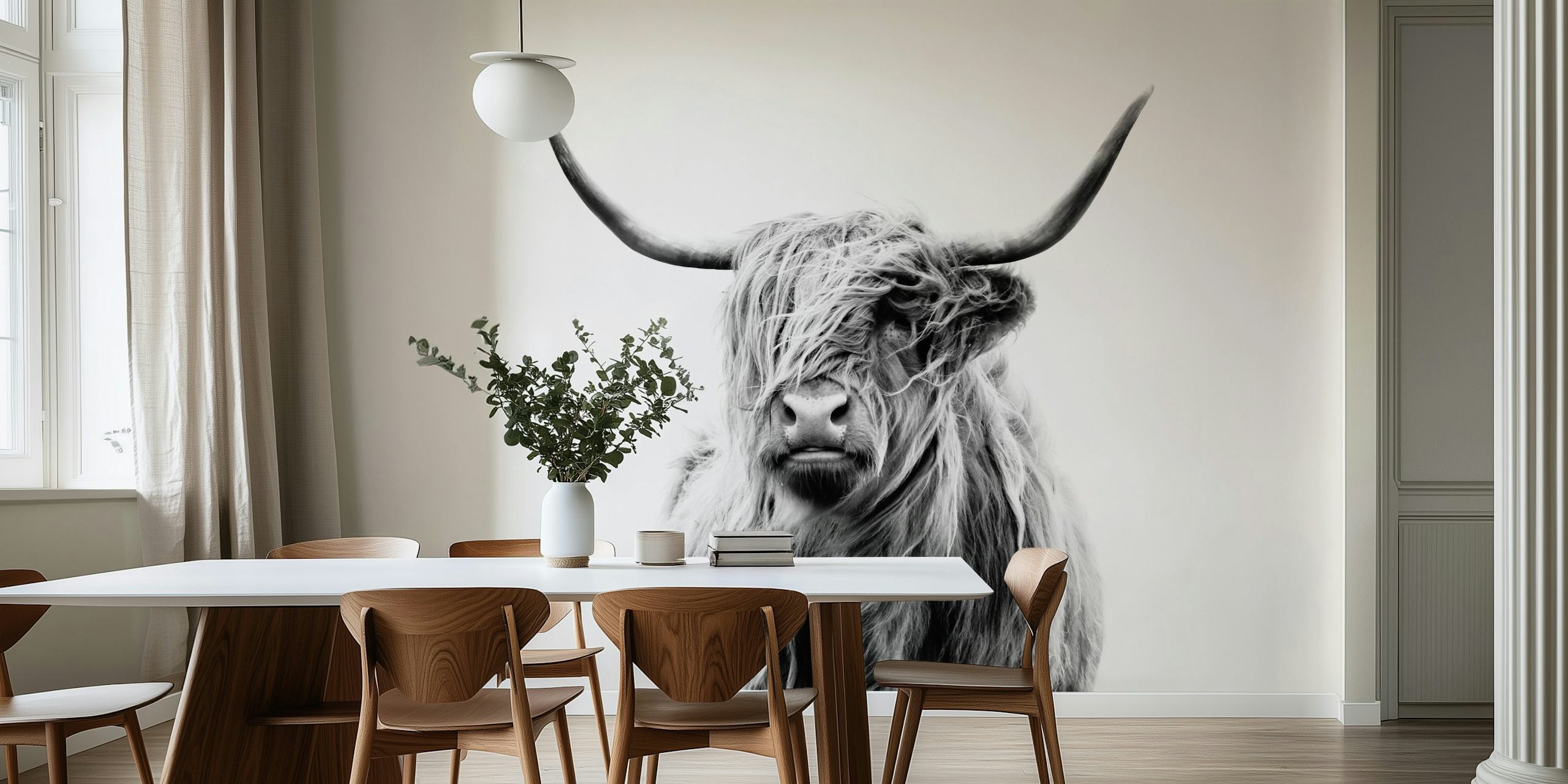 Portrait d'une vache Highland avec un pelage long et noir et blanc wallpaper