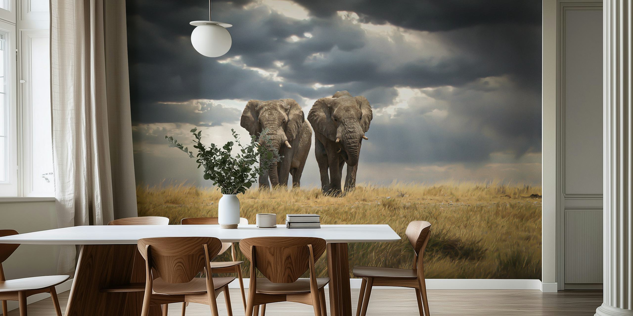 Elephants standing in a grassland under cloudy sky wallpaper