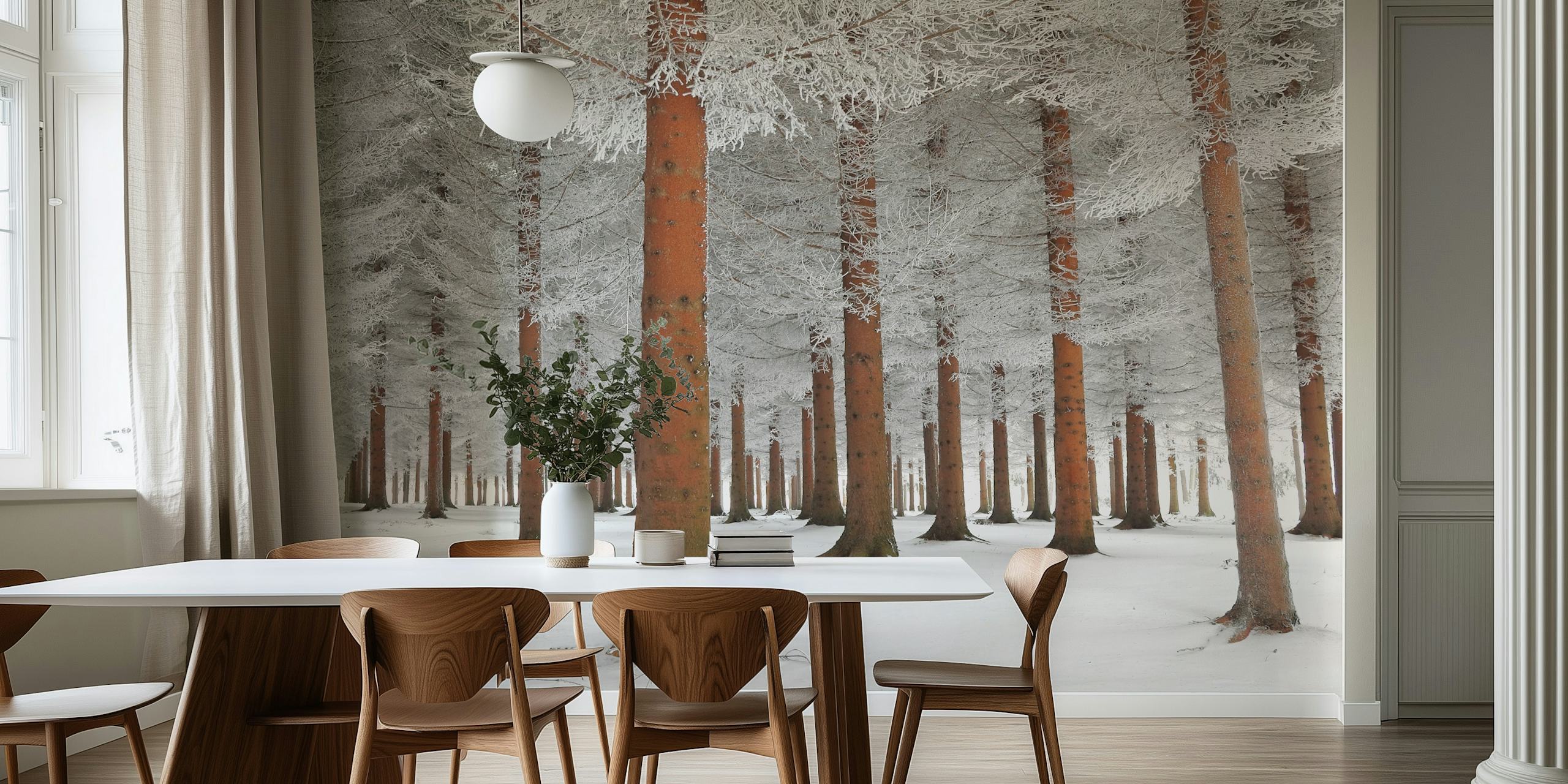 Snow-covered forest with white trees and brown trunks wallpaper