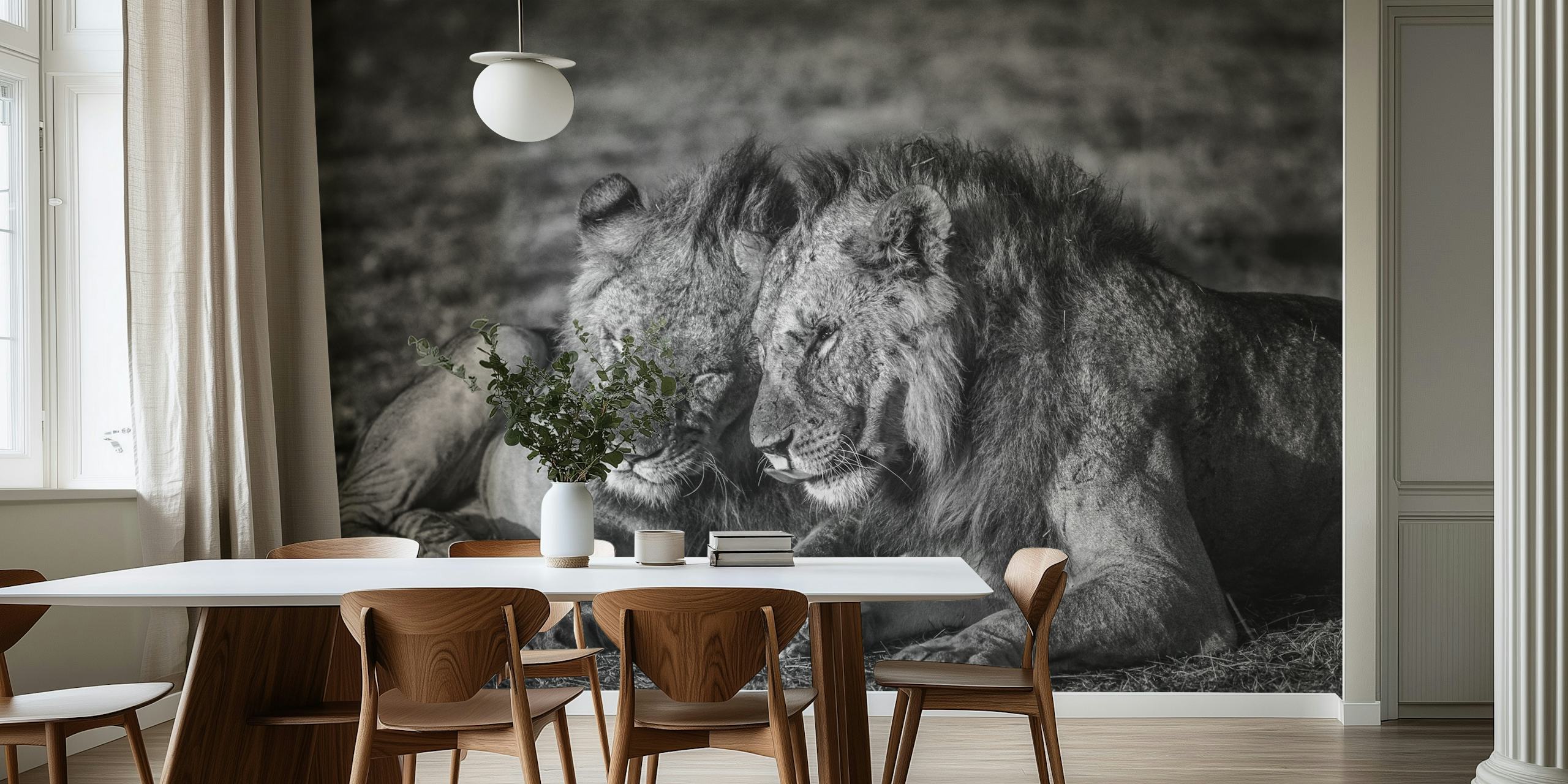 Lions resting in a tranquil setting