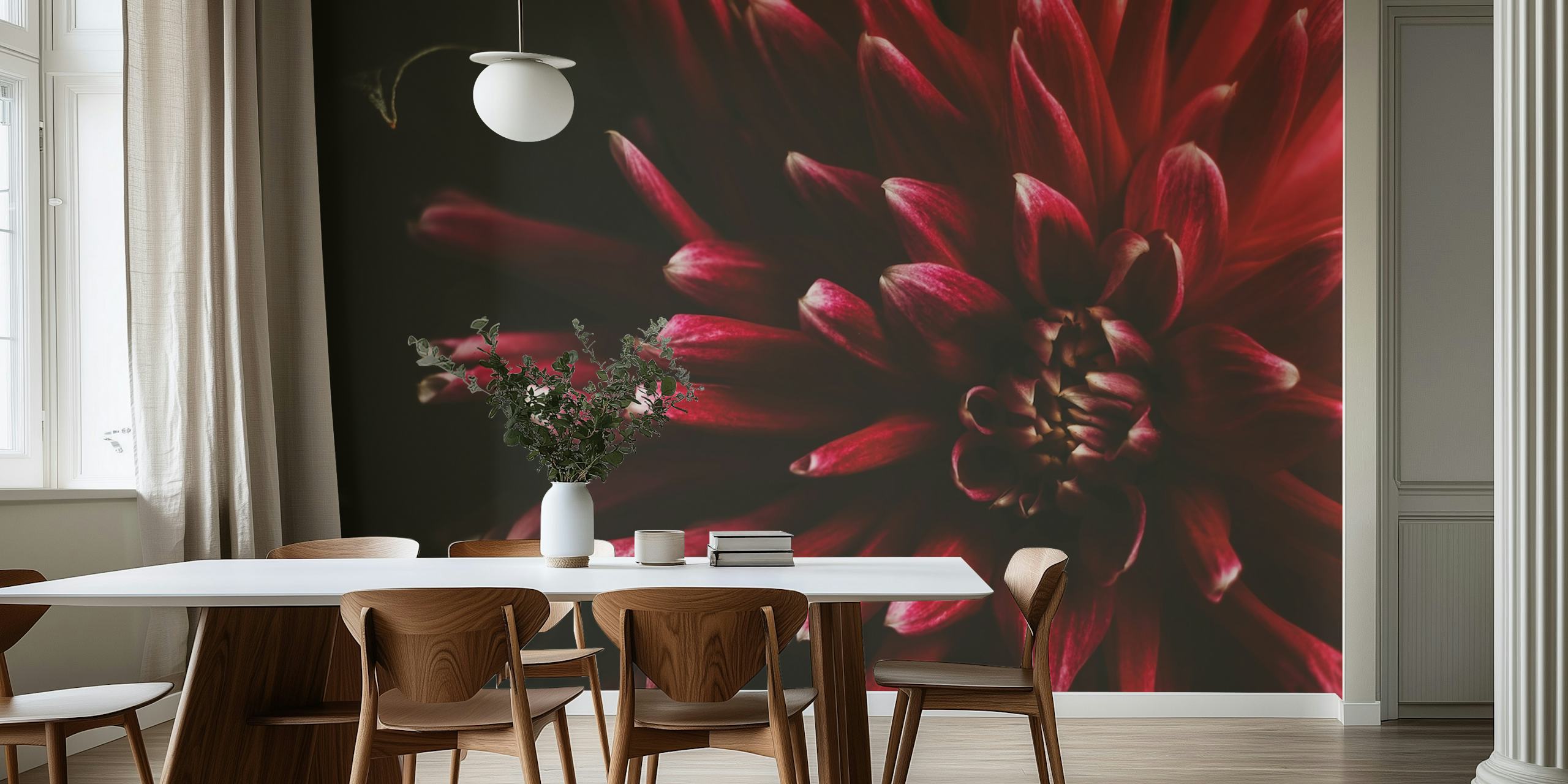 Close-up of red dahlia flower petals, floral wallpaper