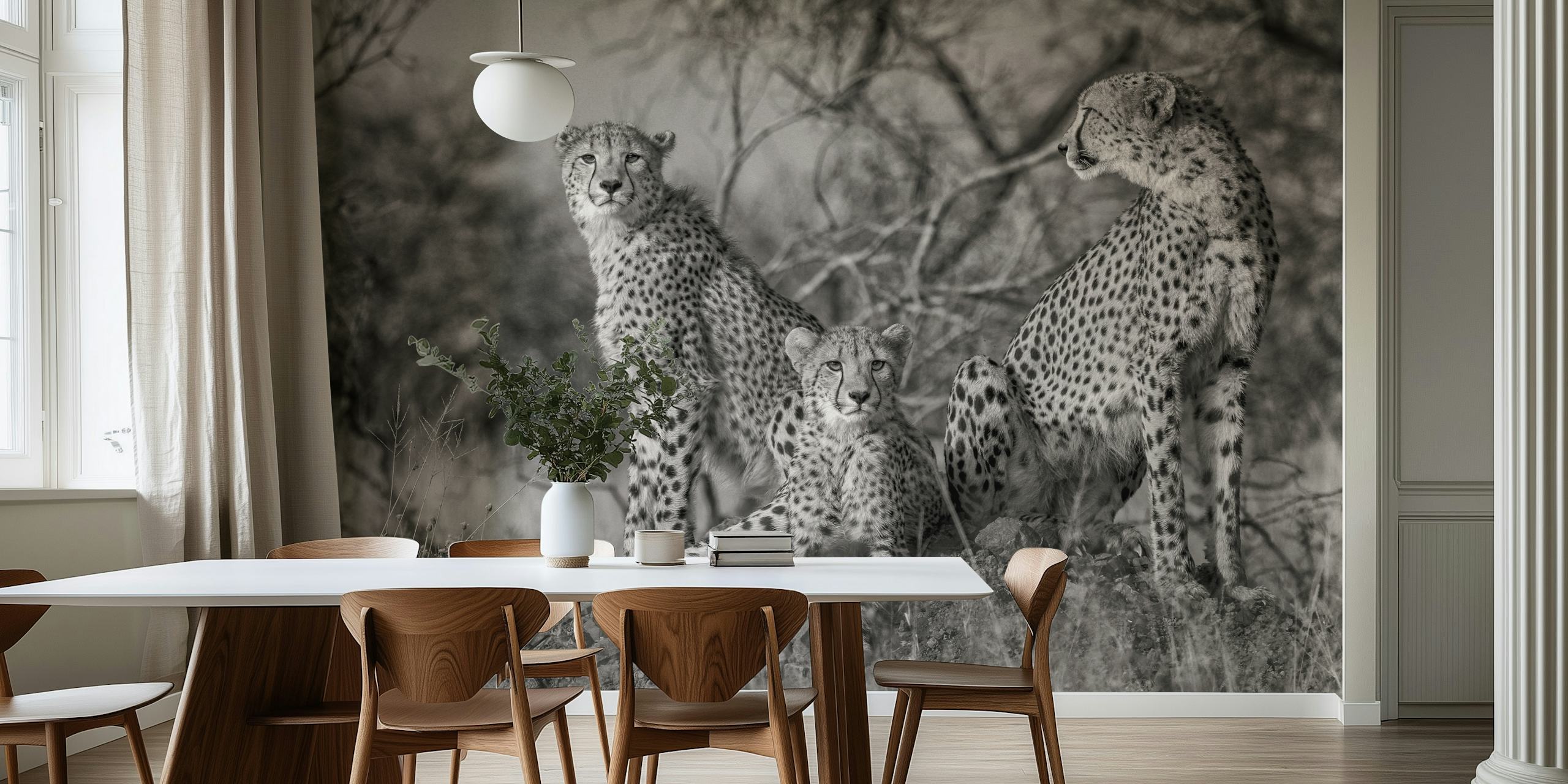Black and white wall mural of three cheetahs