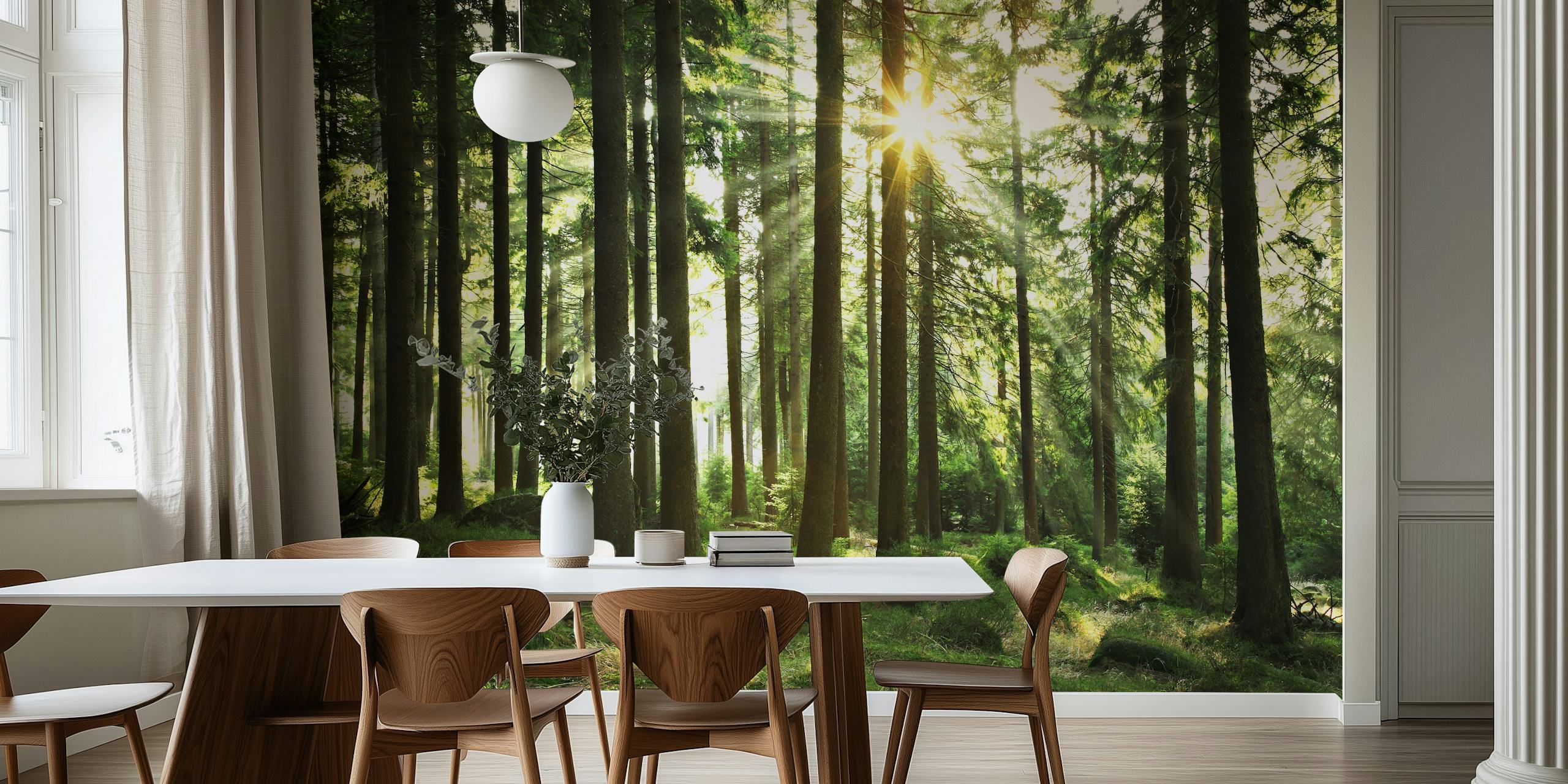 Sunlight filtering through tall trees in a green forest wallpaper