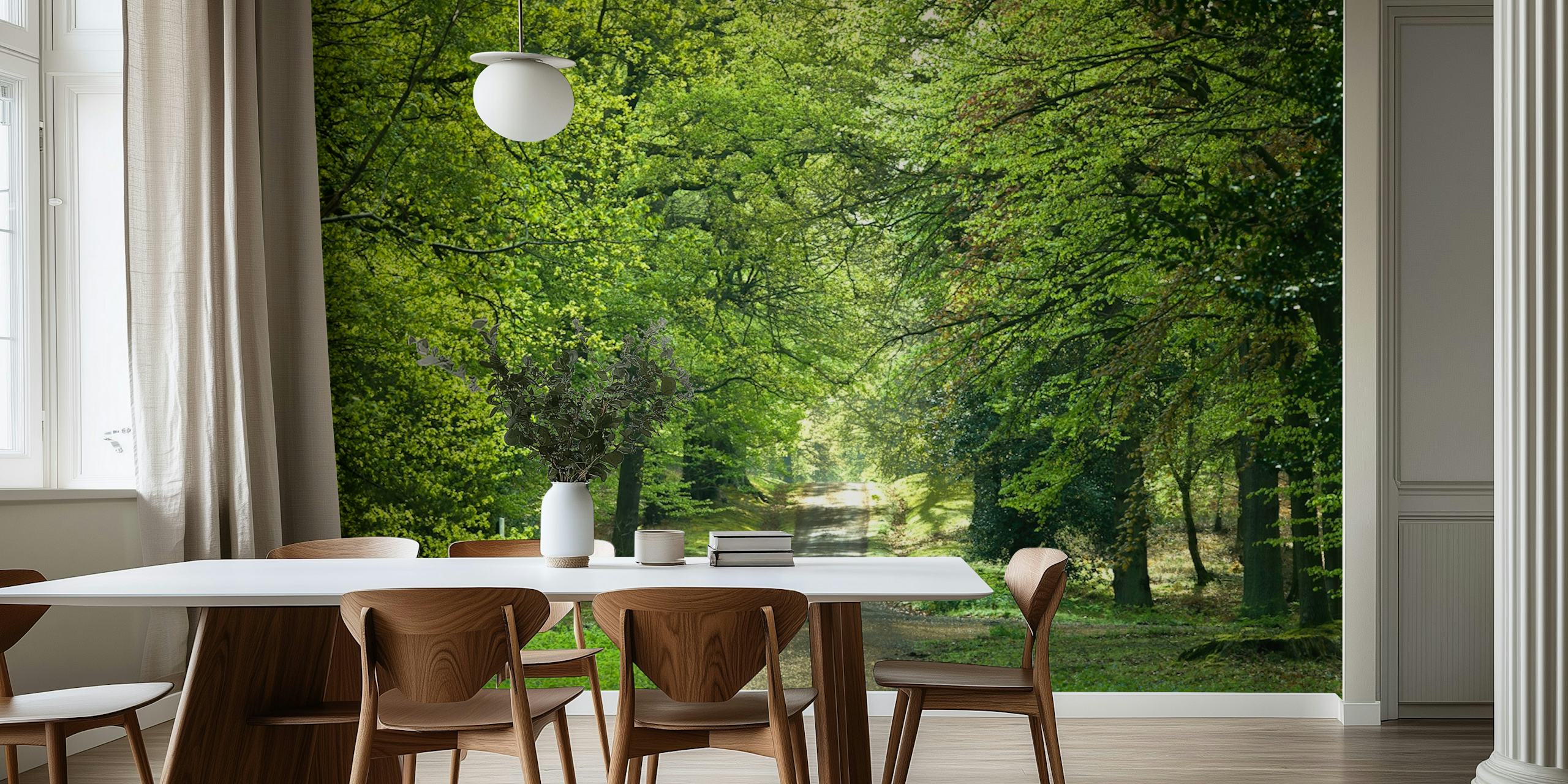 Lush green trees lining a forest path wallpaper