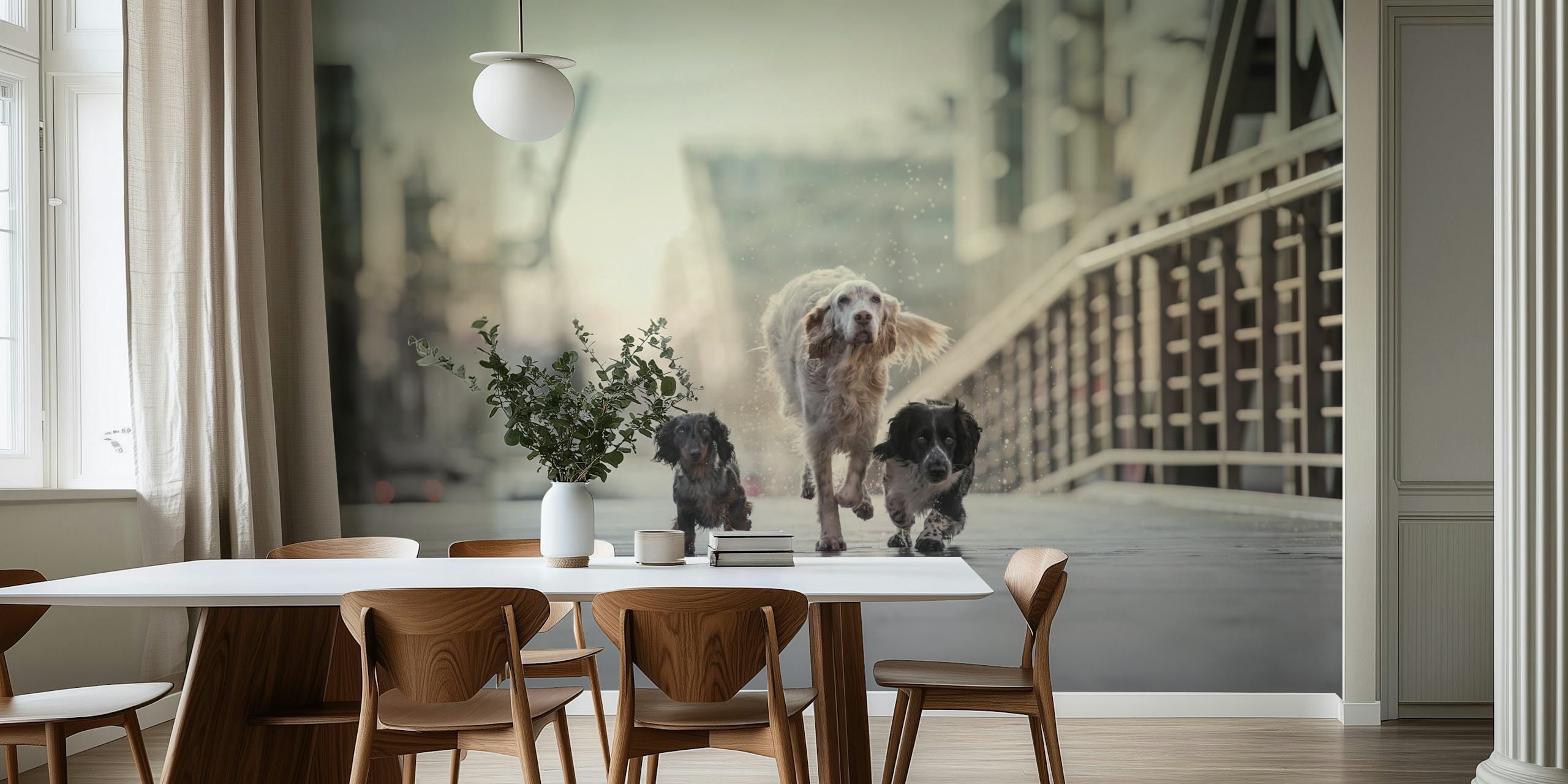 Colorful 1 2 3Go! wallpaper in a bright room