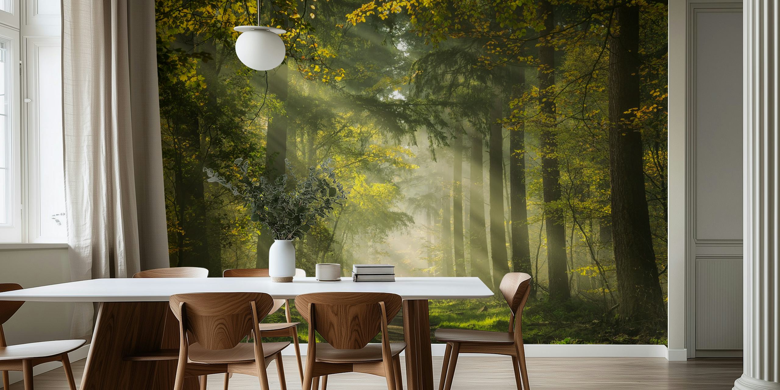 Dutch forest wallpaper com raios de sol