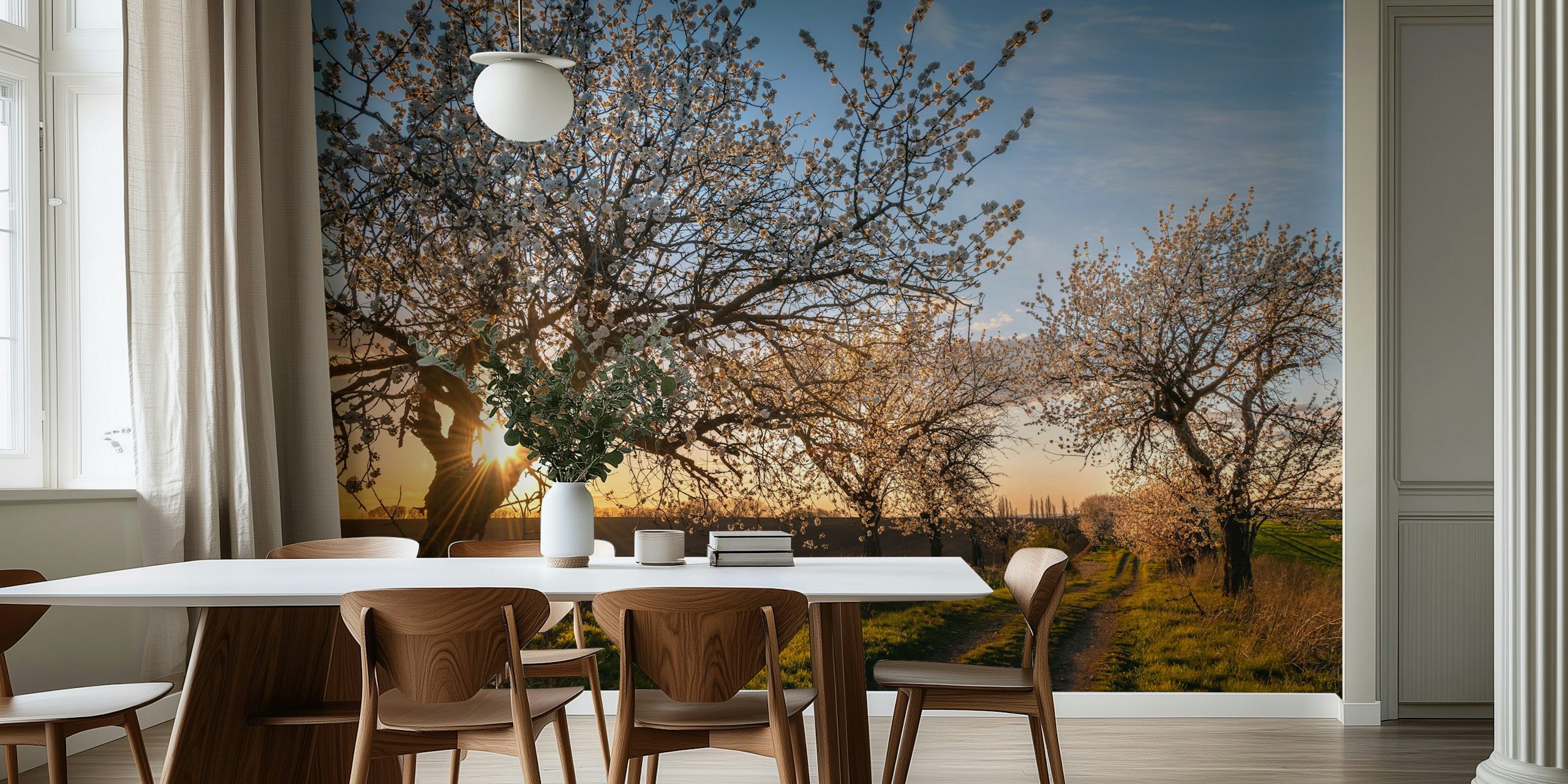 Cherry blossom wallpaper enhancing a room