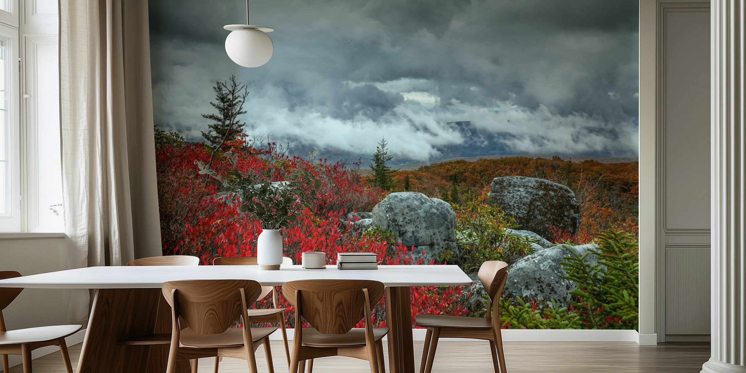 Storm over Dolly Sods Wilderness with vibrant red foliage and moody skies wall mural