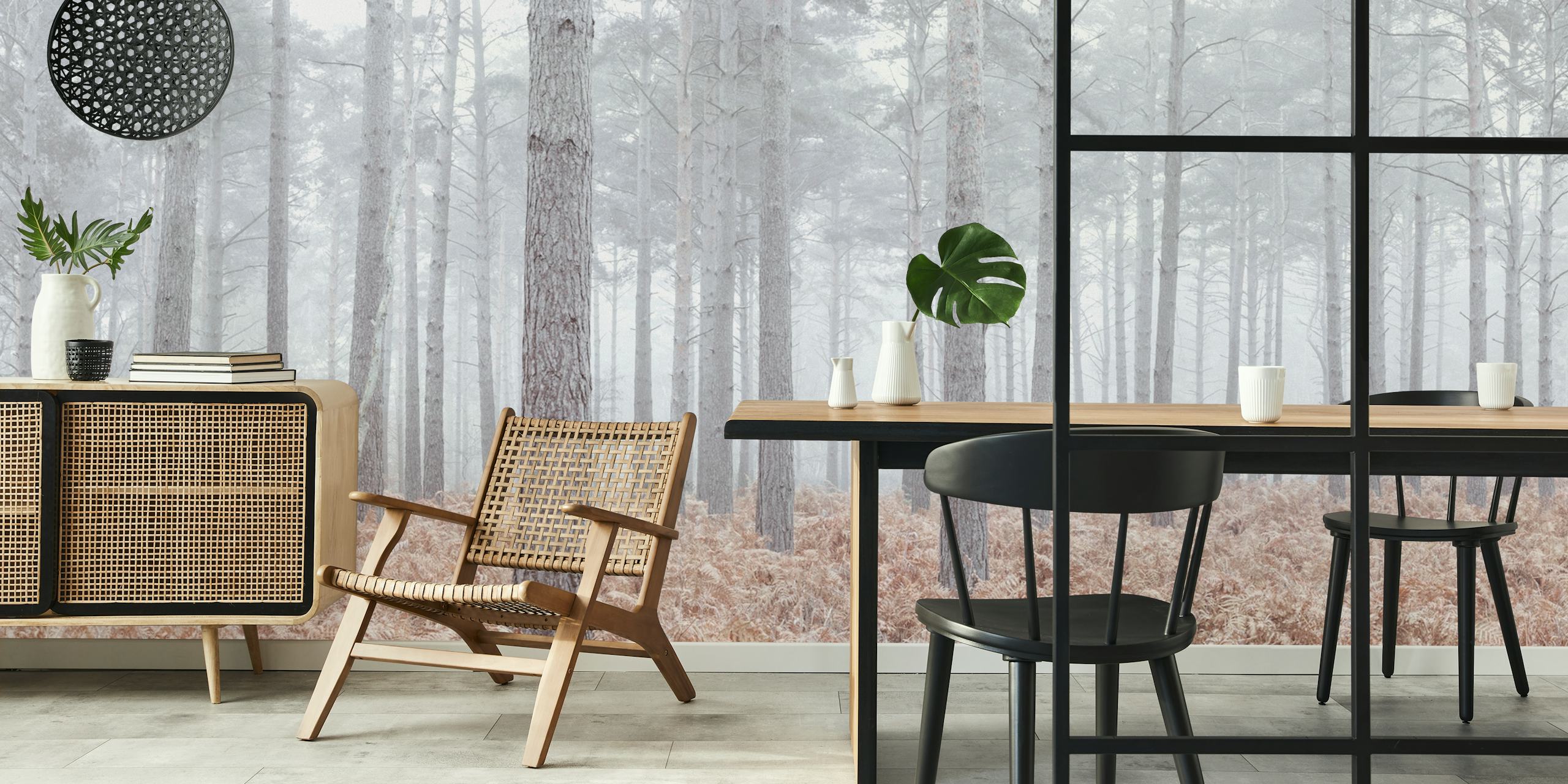 Pine trees in fog with brown ferns in foreground wallpaper