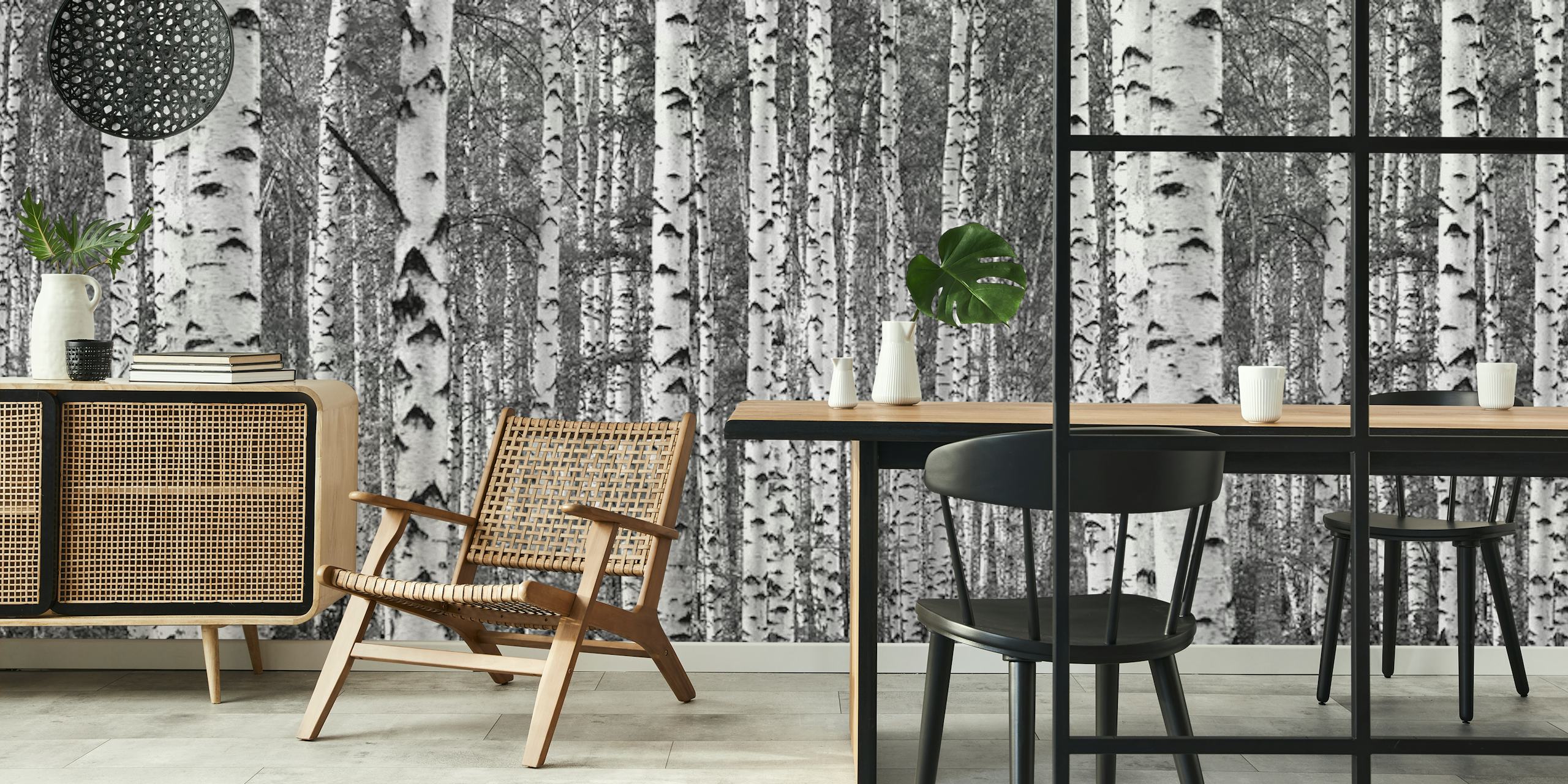 Birch trees black and white wallpaper in a room