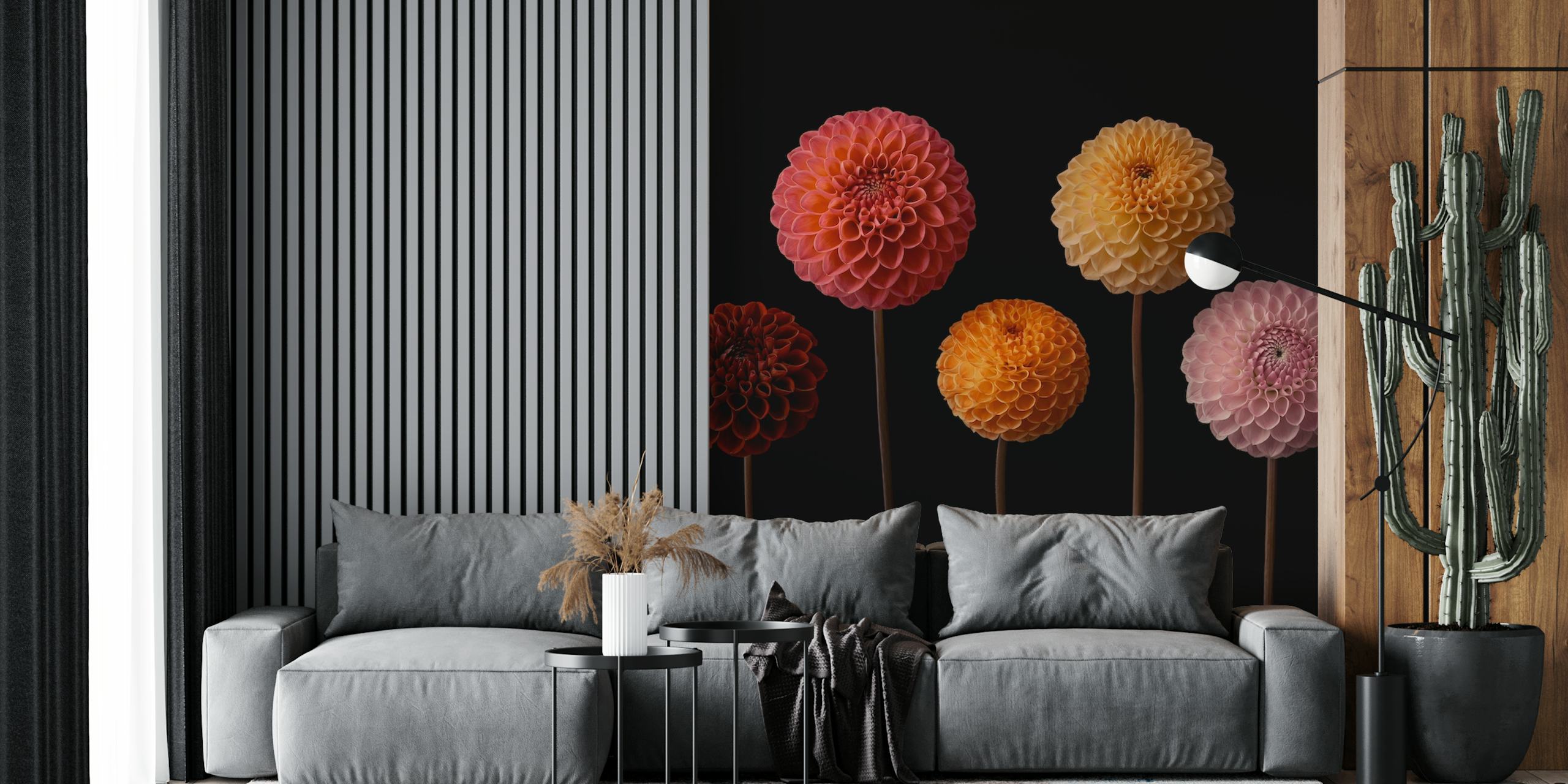Colorful dahlia flowers in pink, yellow, and orange on black wallpaper