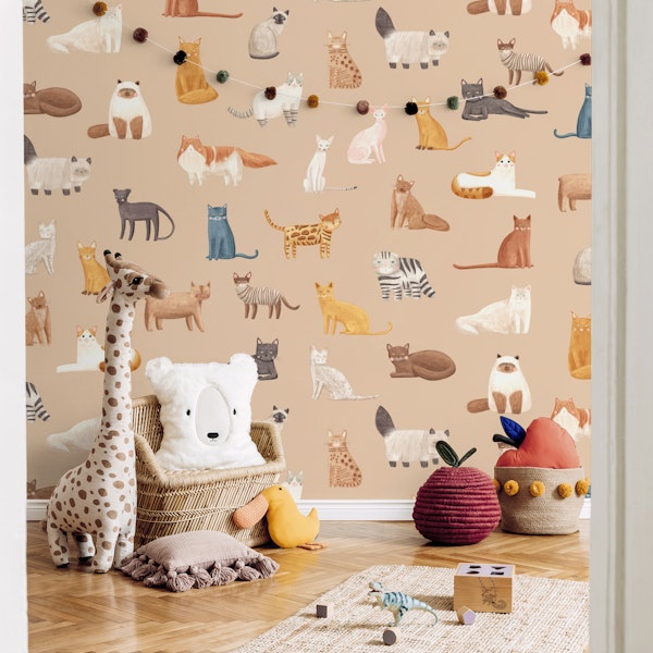 Cute cats gathering