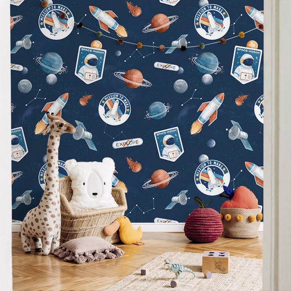 Mission to Mars - navy