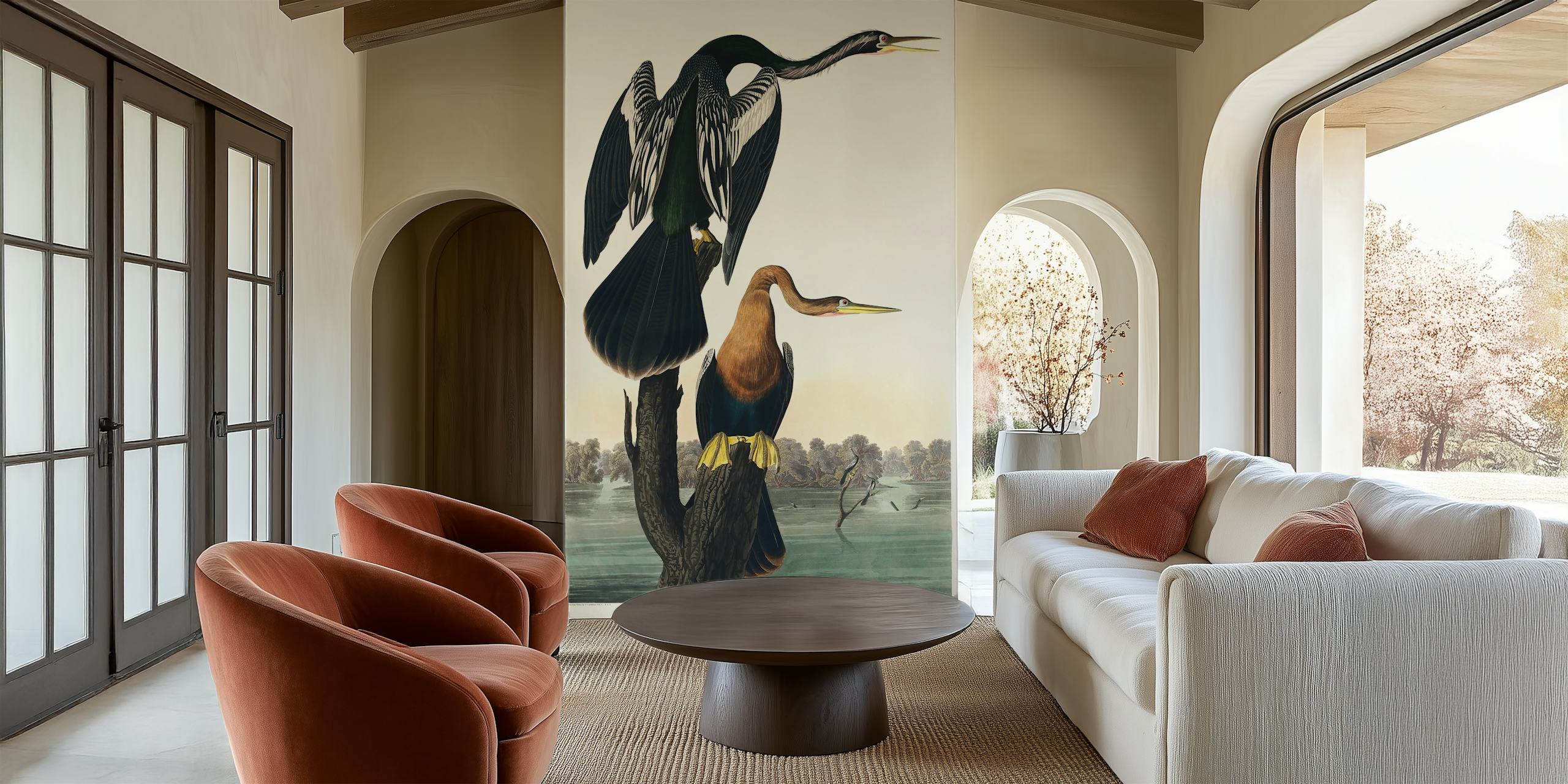 Papel de parede Black-bellied Darter em um quarto
