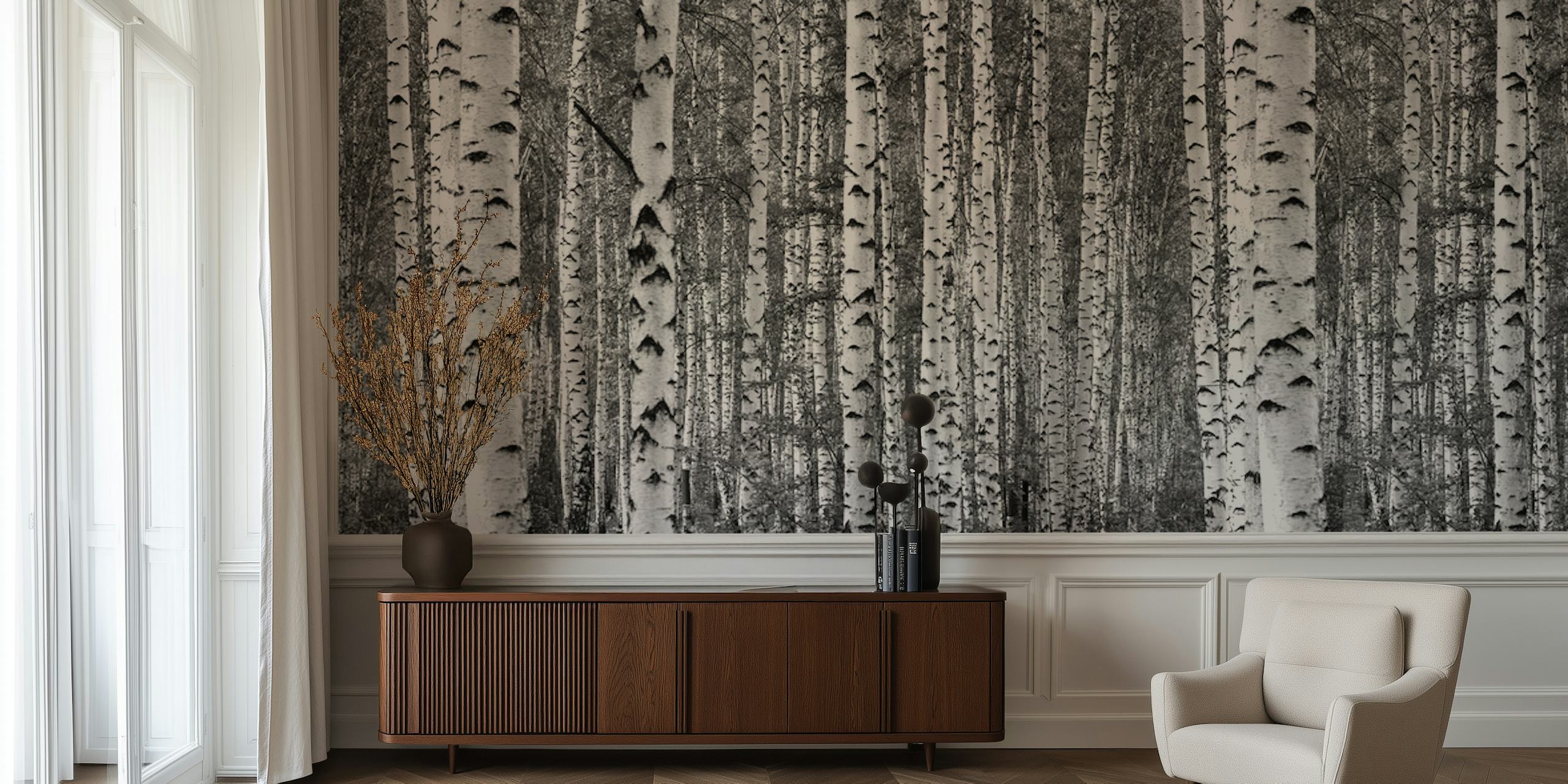 Birch trees black and white wallpaper in a room