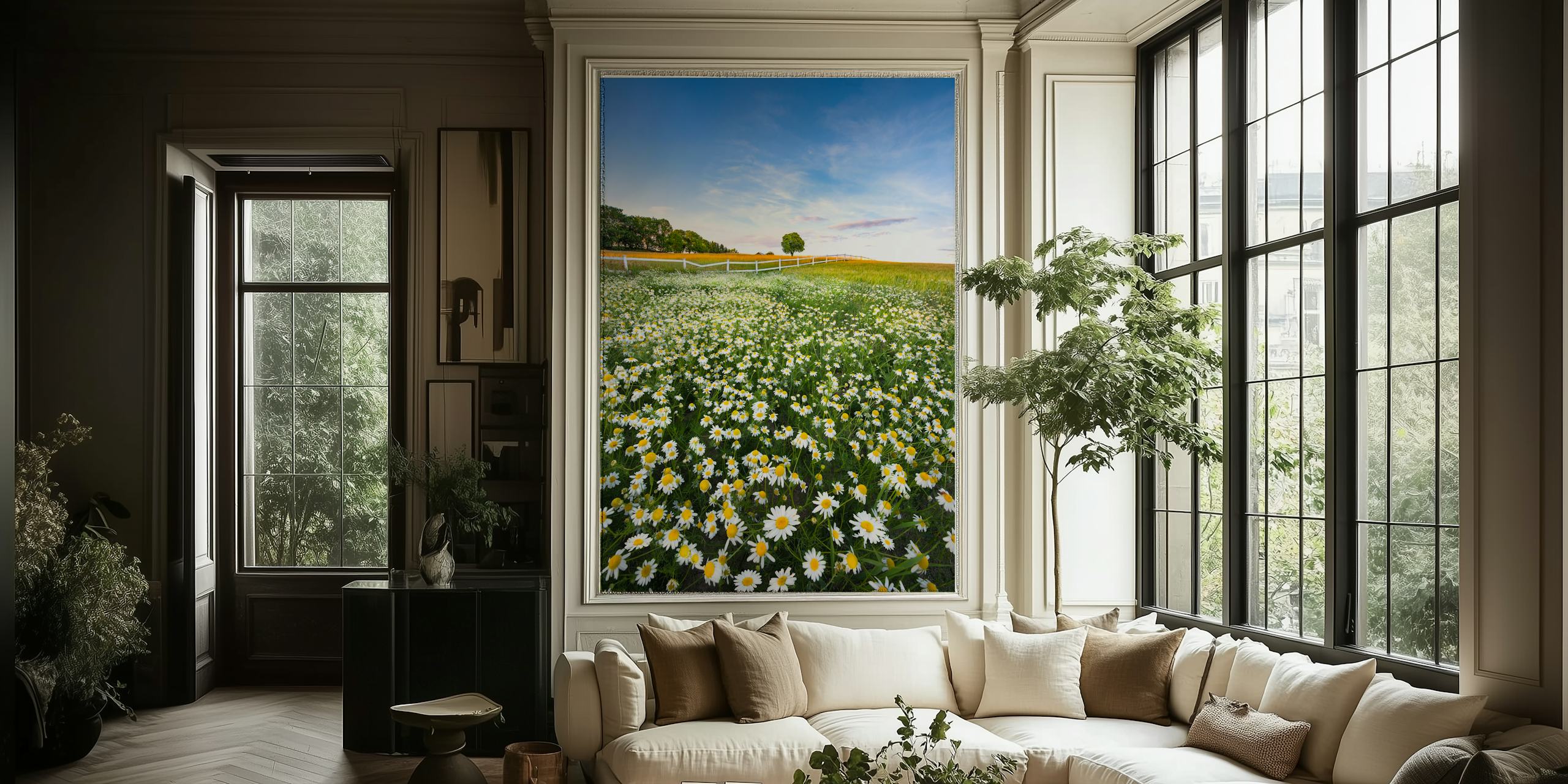 A field of daisies with white and yellow flowers under a blue sky wallpaper