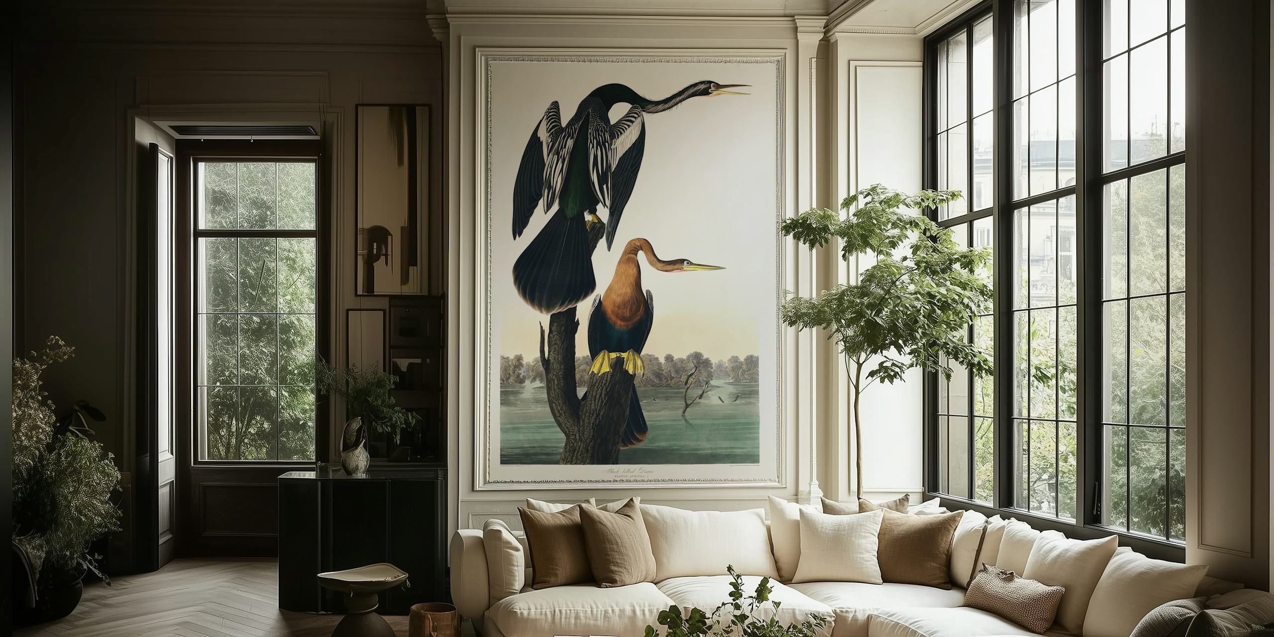 Papel de parede Black-bellied Darter em um quarto