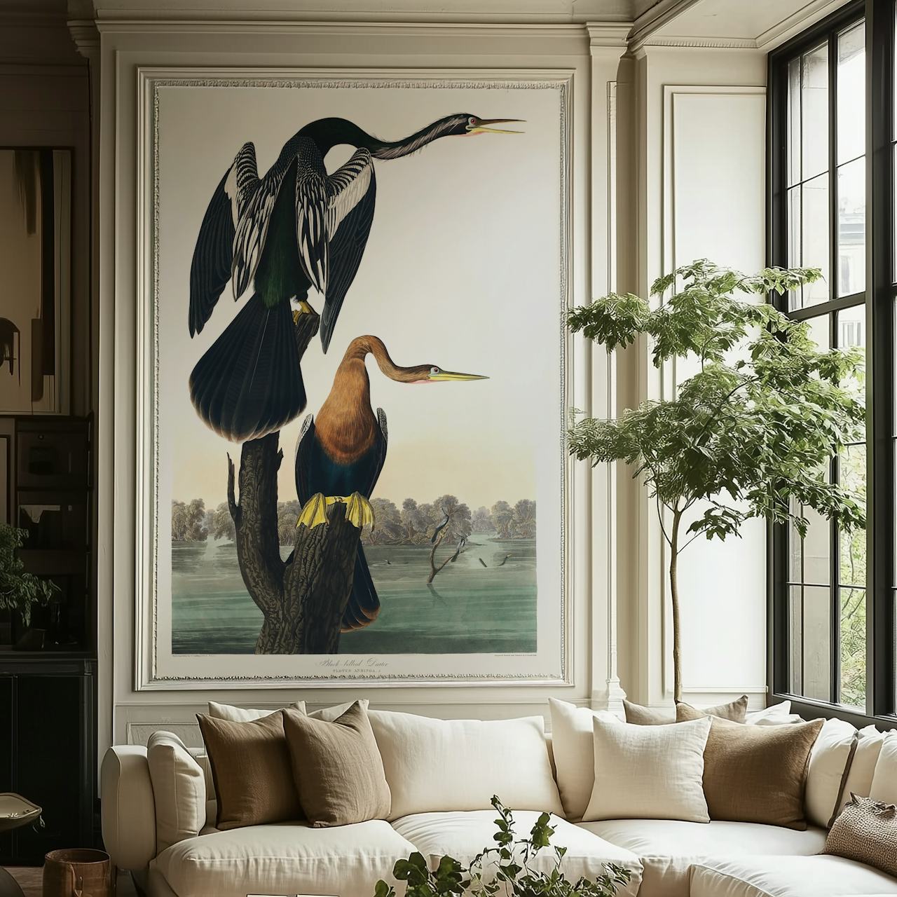Papel de parede Black-bellied Darter em um quarto