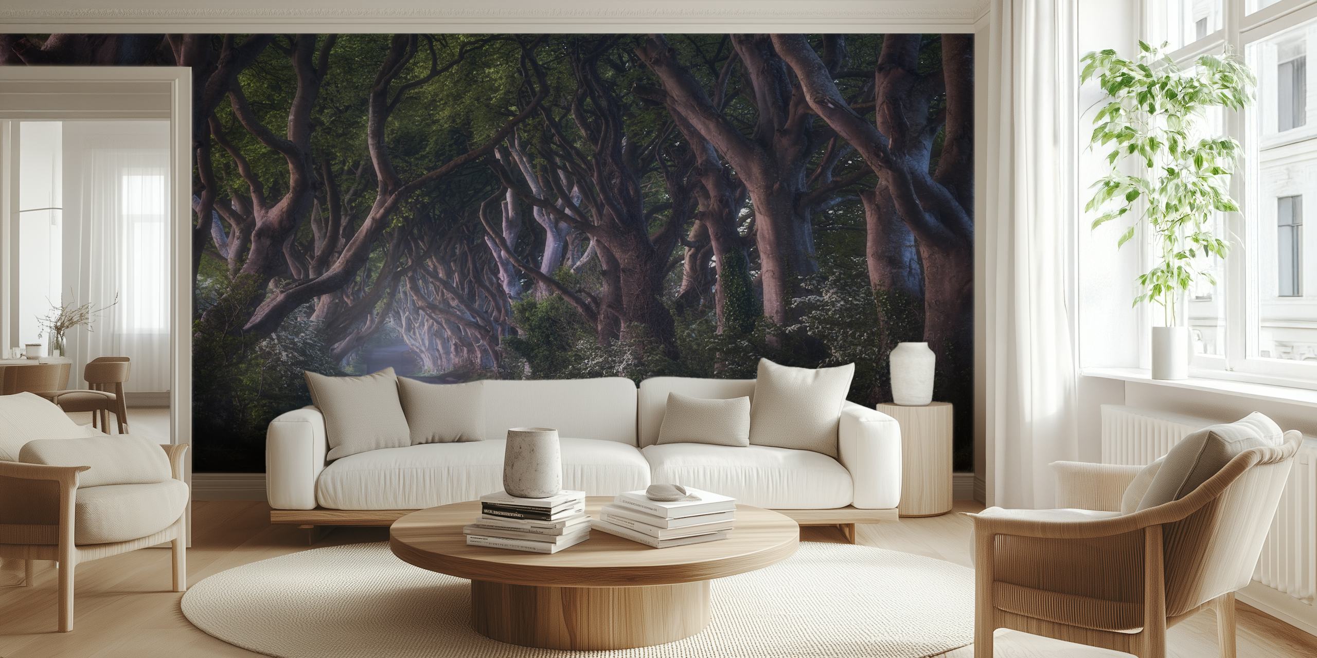 Tapeta The Dark Hedges w pokoju