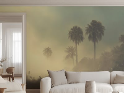 Foggy Palm Oasis