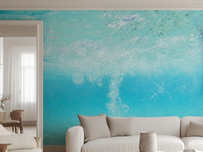Caribbean Underwater Tranquility 1