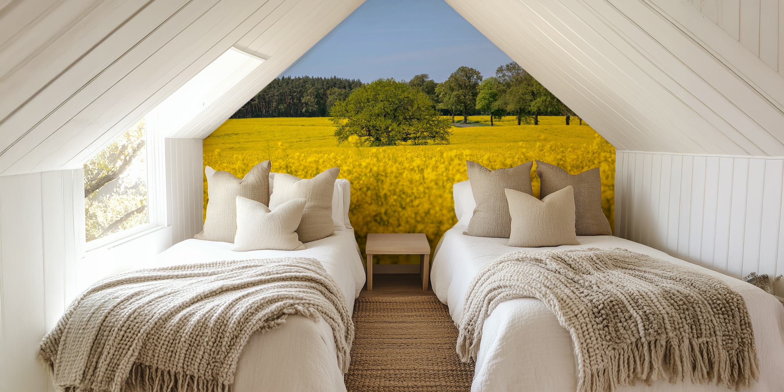 Yellow flowering rapeseed field with greenery wallpaper