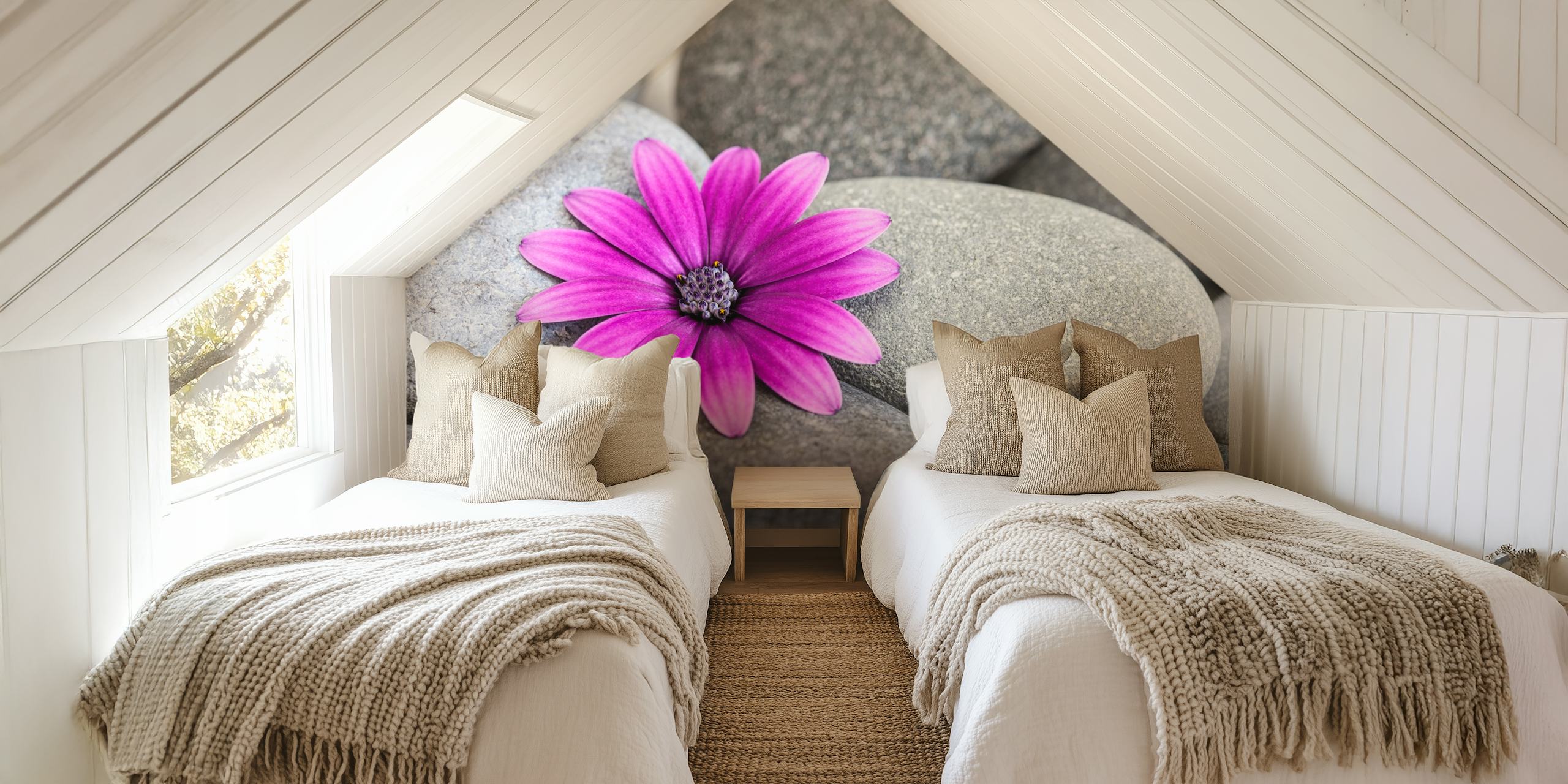 Μουσείο Pink Daisy σε γκρίζα Pebble