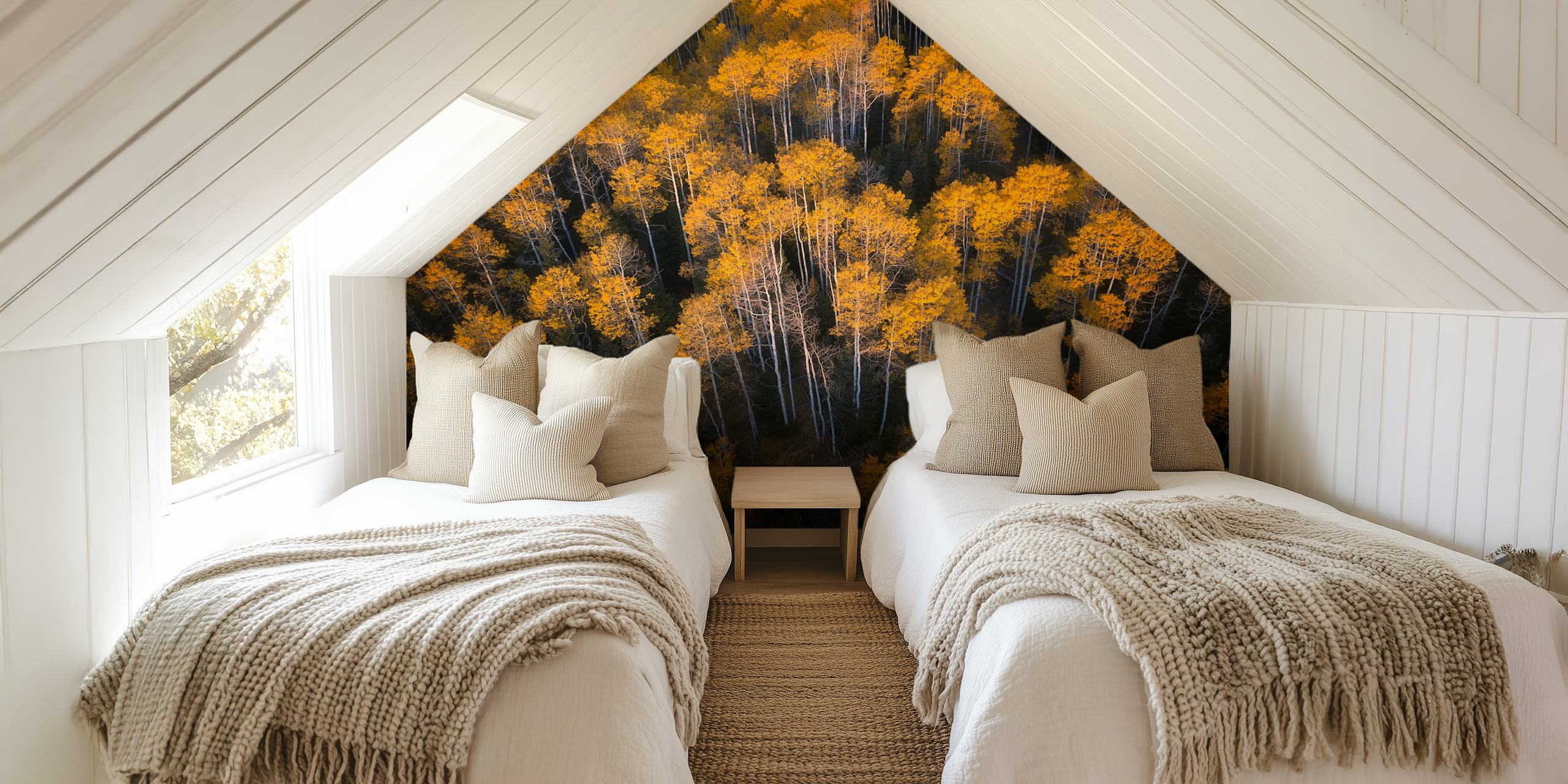 Golden aspen trees in autumn with dark trunks wallpaper