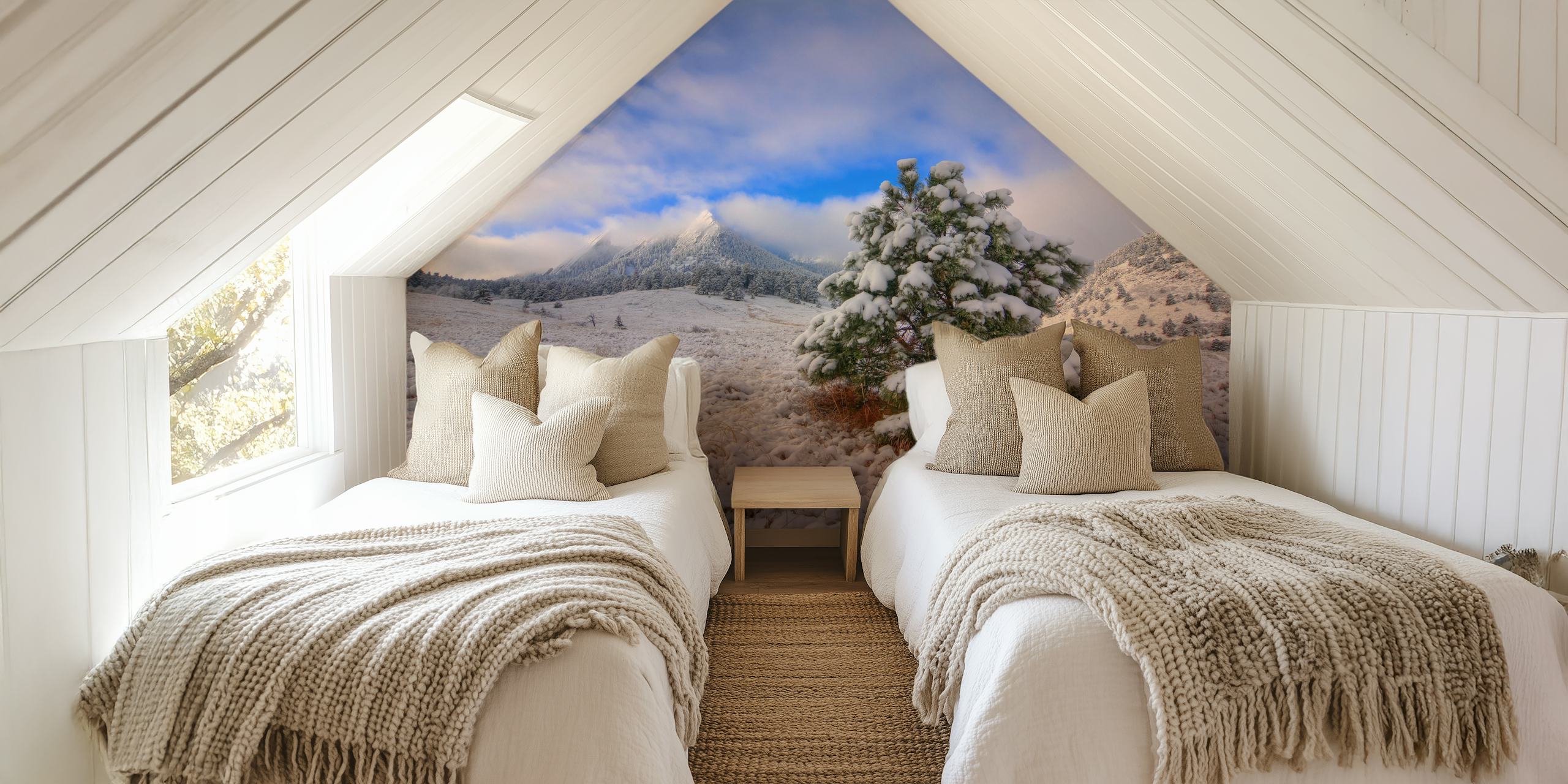 Snötäckt Flatirons-landskap med tapet av tall