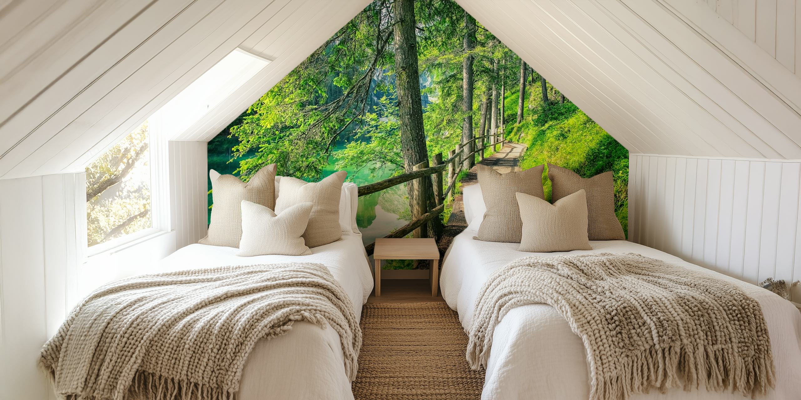 Scenic forest path with green trees and tranquil water wallpaper