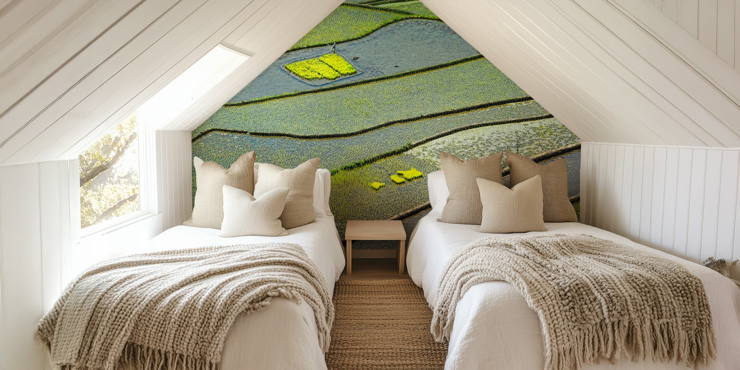Vibrant rice fields wallpaper in a room