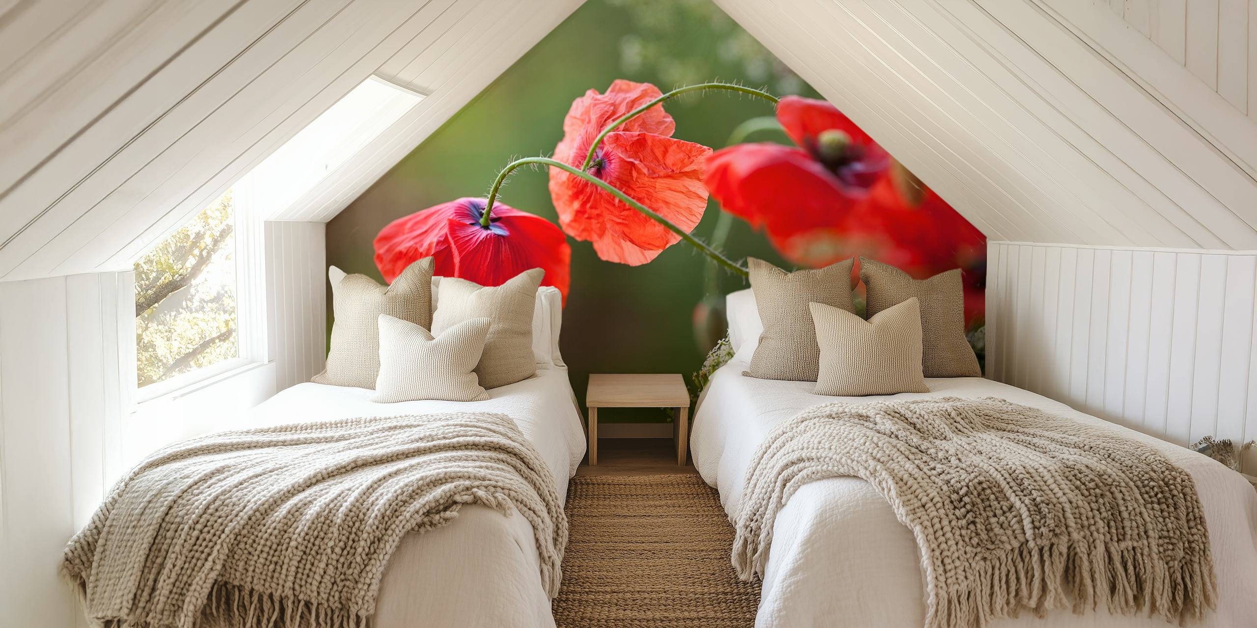 Red poppy flowers with green stems on soft background wallpaper