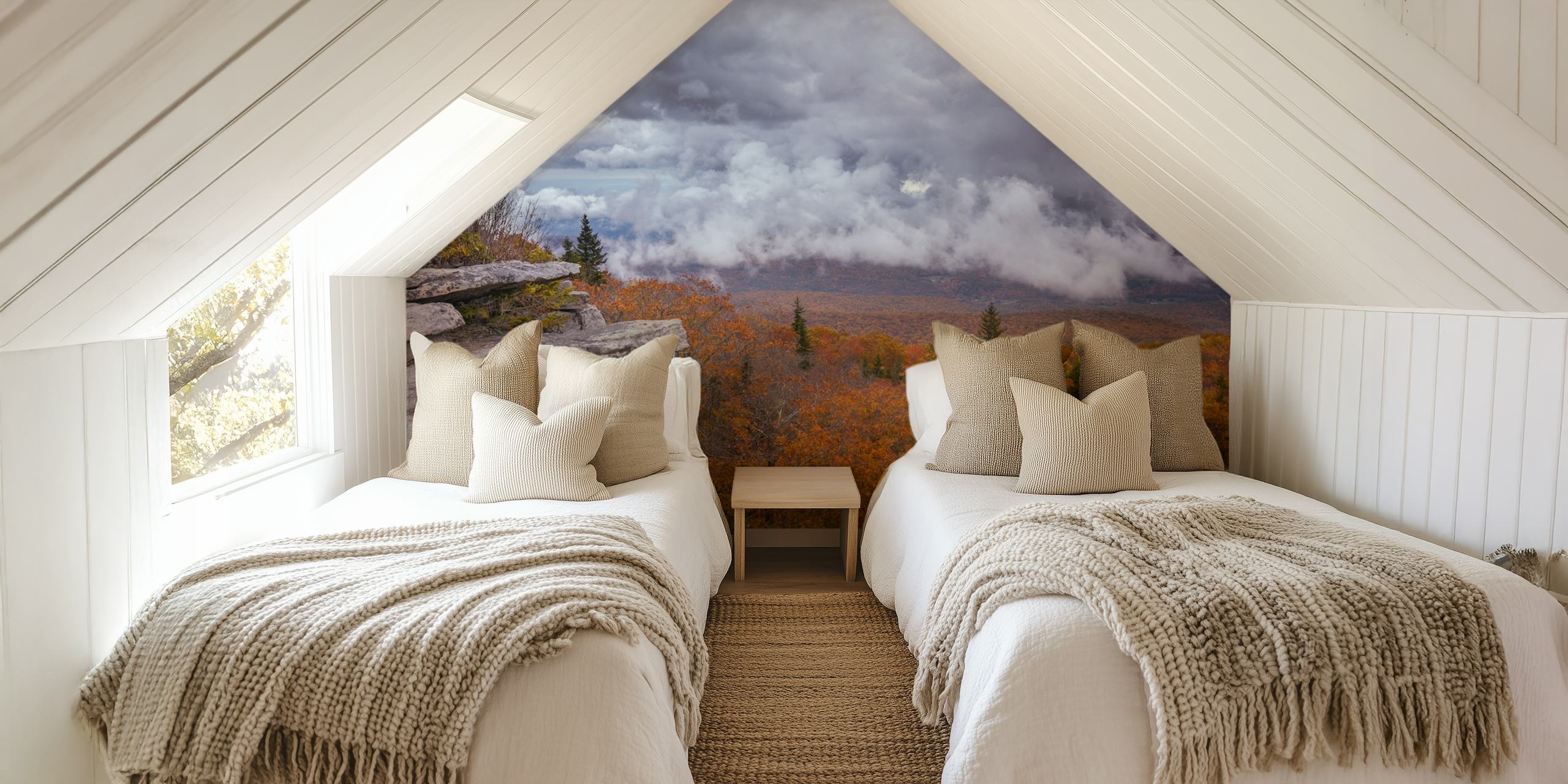 Storm Over Dolly Sods Wilderness wallpaper in room