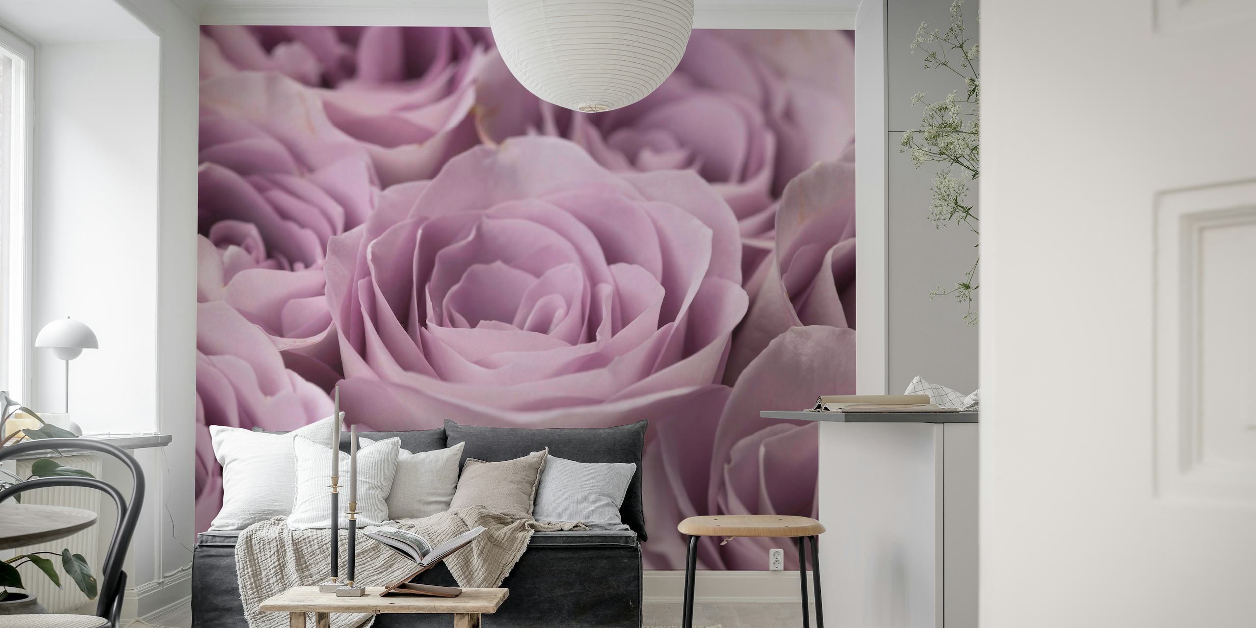Roses full frame papel de parede
