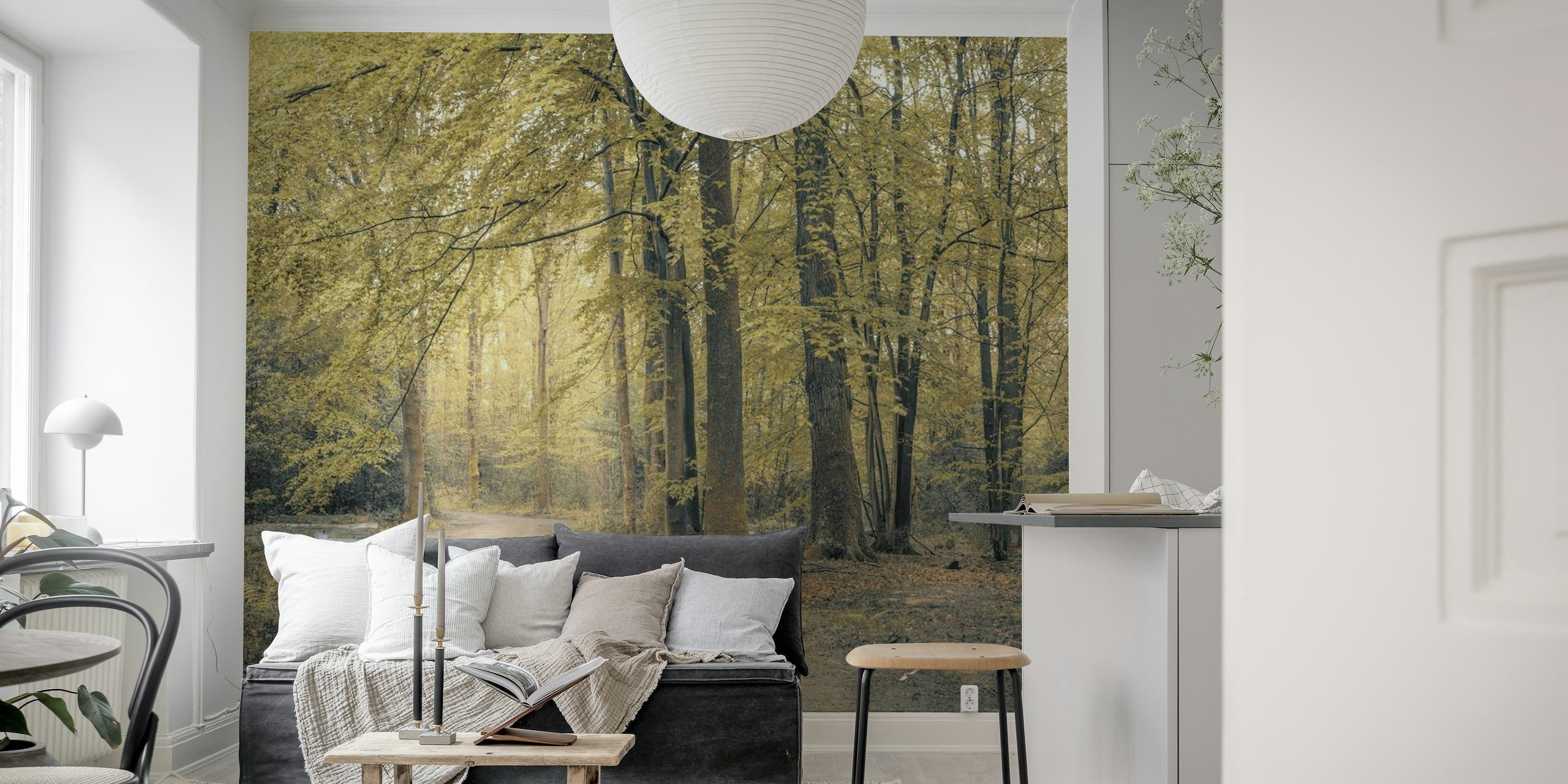 Enchanting forest path wall mural with autumn colors and soft sunlight